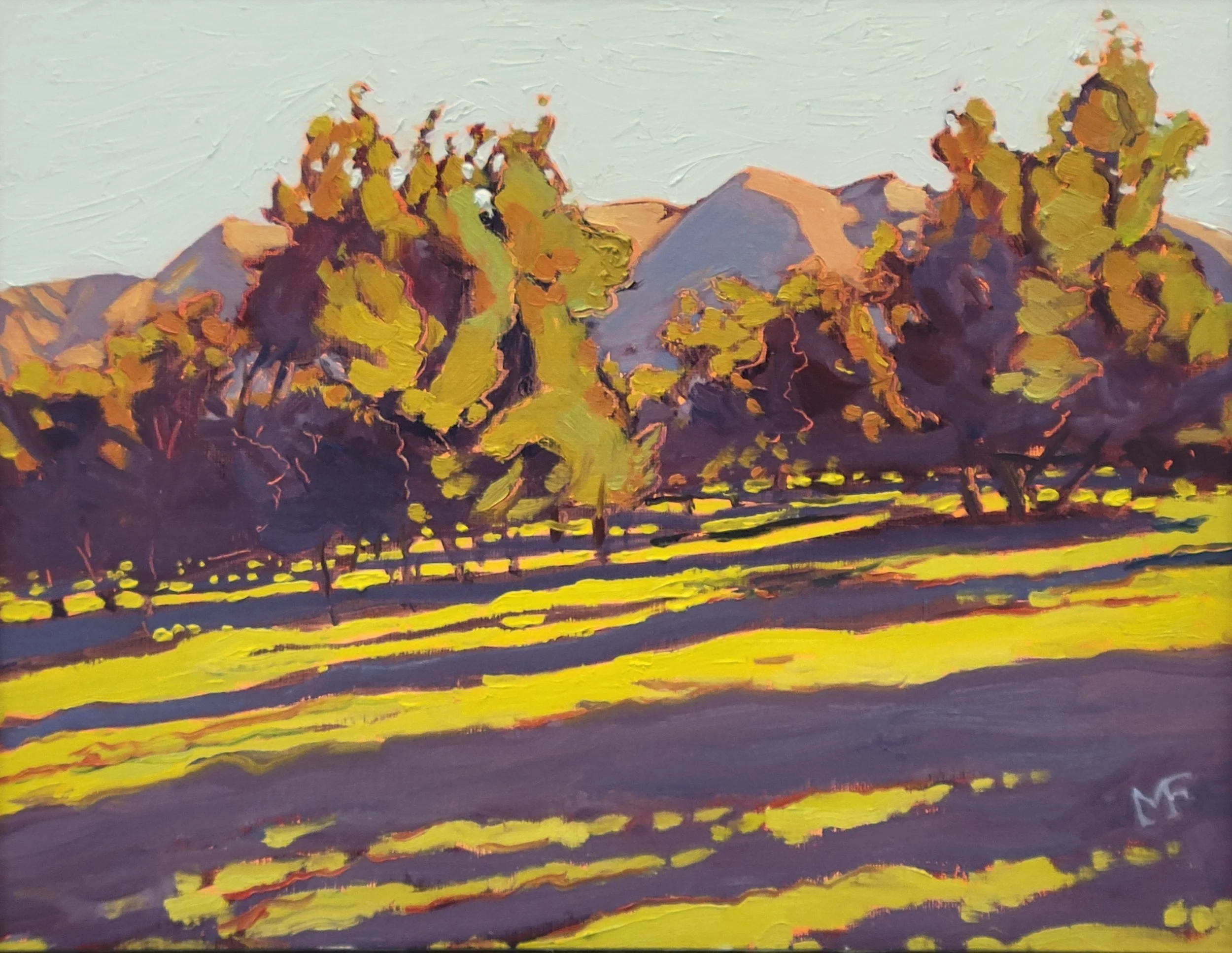 MORNING SHADOWS, OJAI, CA 11 BY 14.jpg