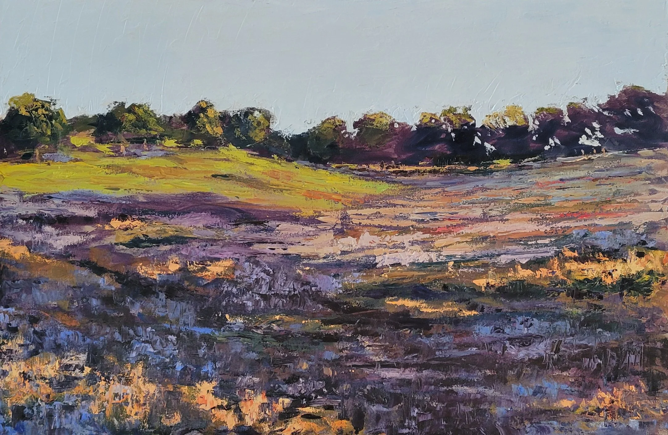 Hills from E16 outside of Plymouth CA 24 by 36.jpg