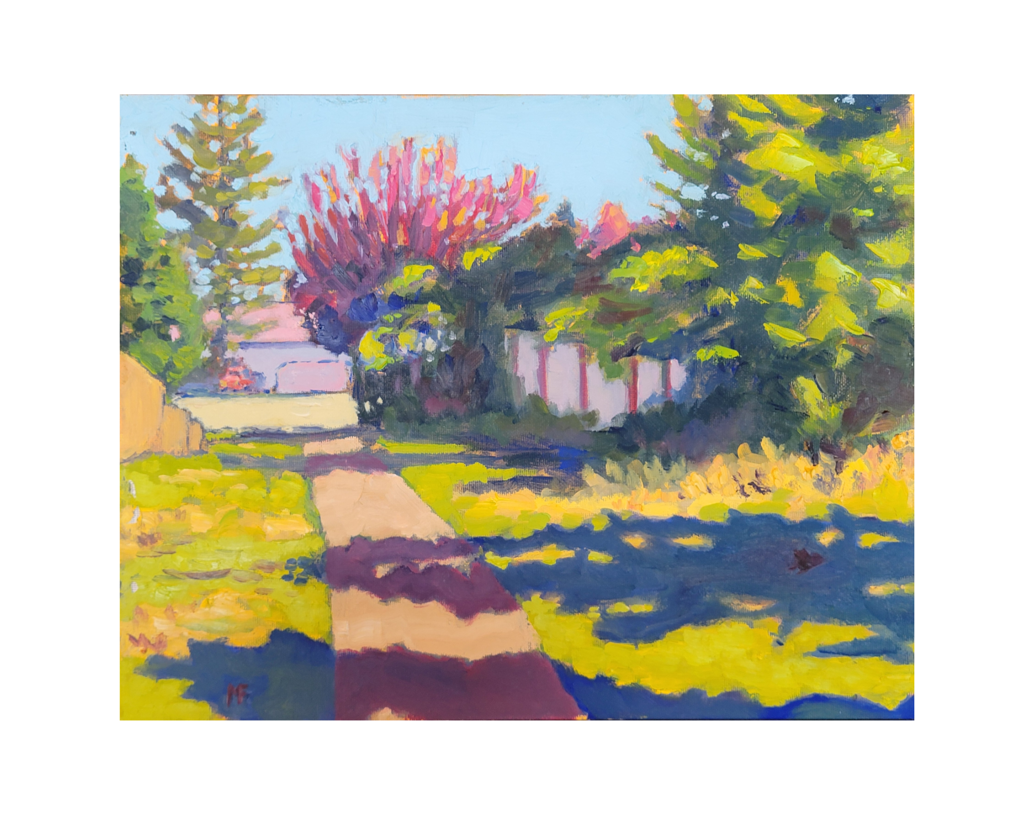 Cat In Shadows Placerville