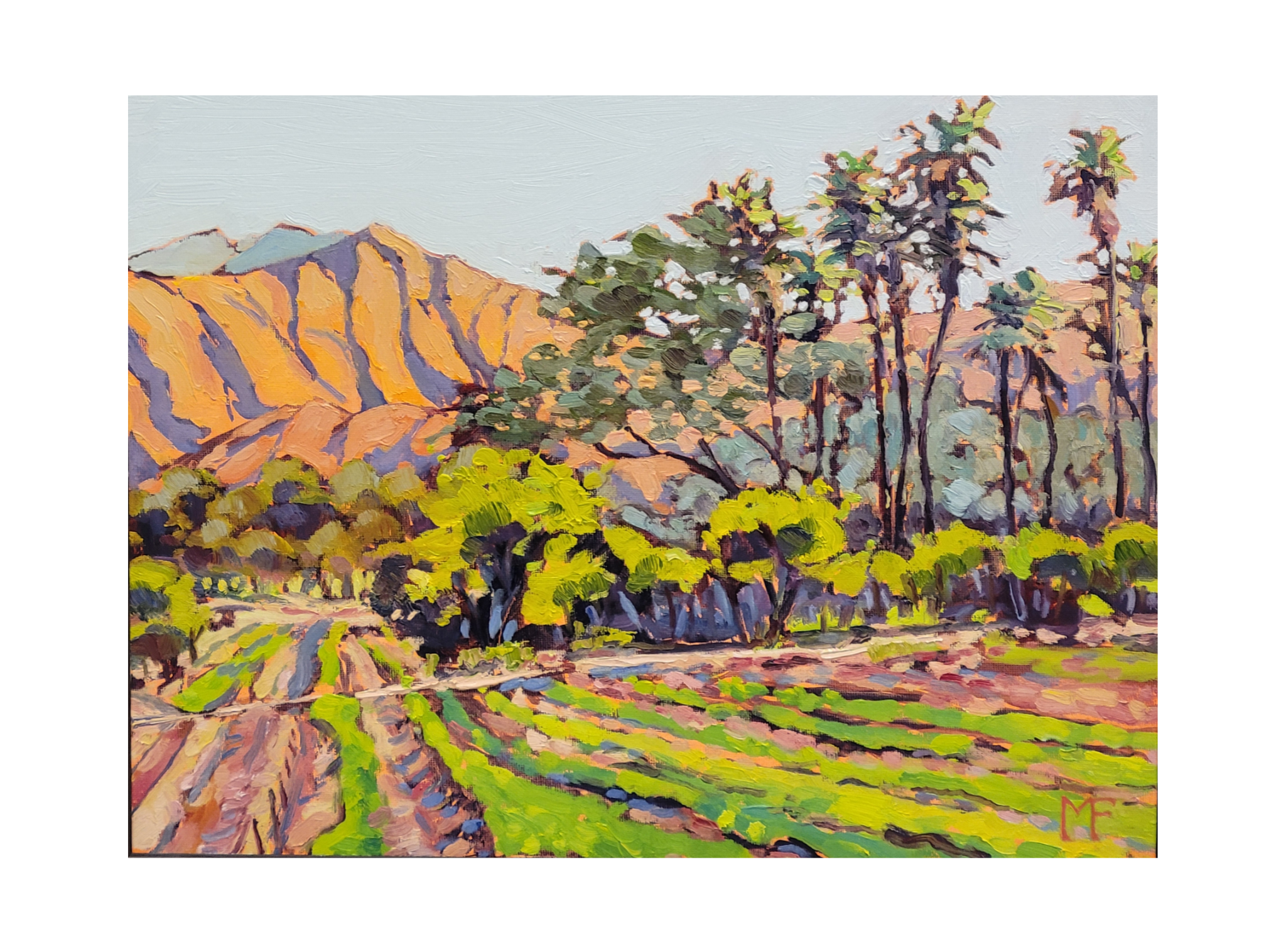 $300 Ojai Glory 12 by 16.png