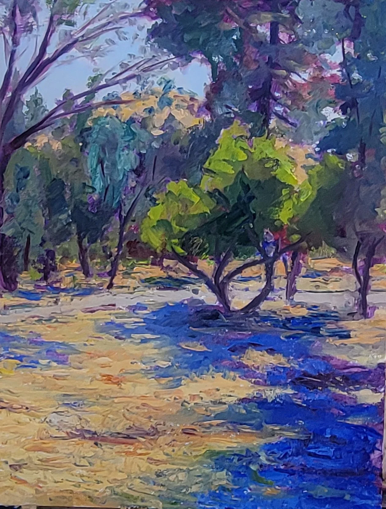 $200 Coloma Ca Plein Aire 12 by 16.jpg