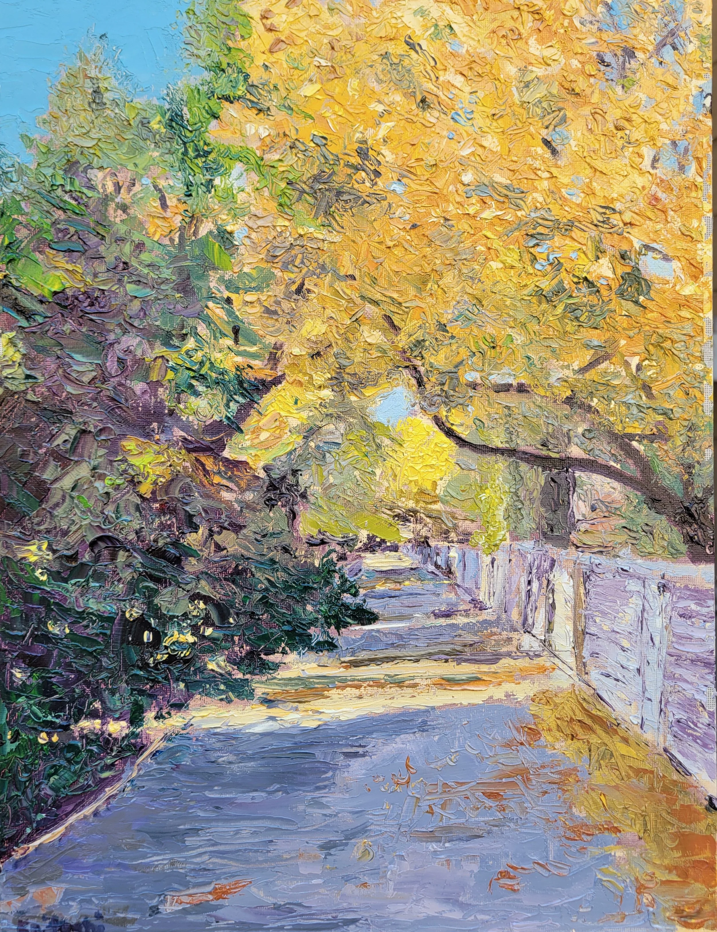 $300 Fall Rancho Murieta 12 by 16 (2).jpg