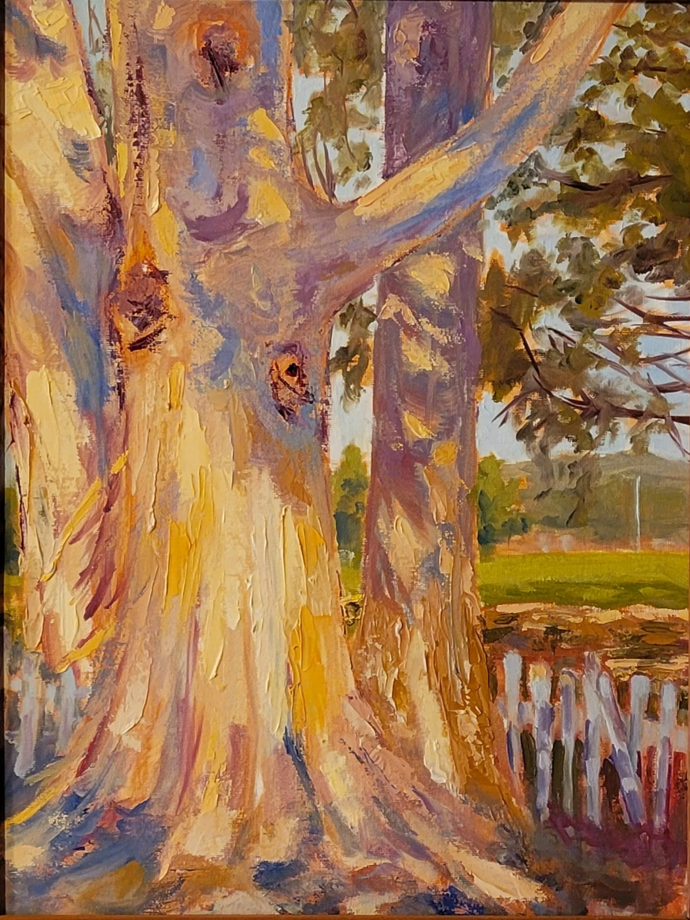 Ft Ross Eculyptus 12 by 16.jpg