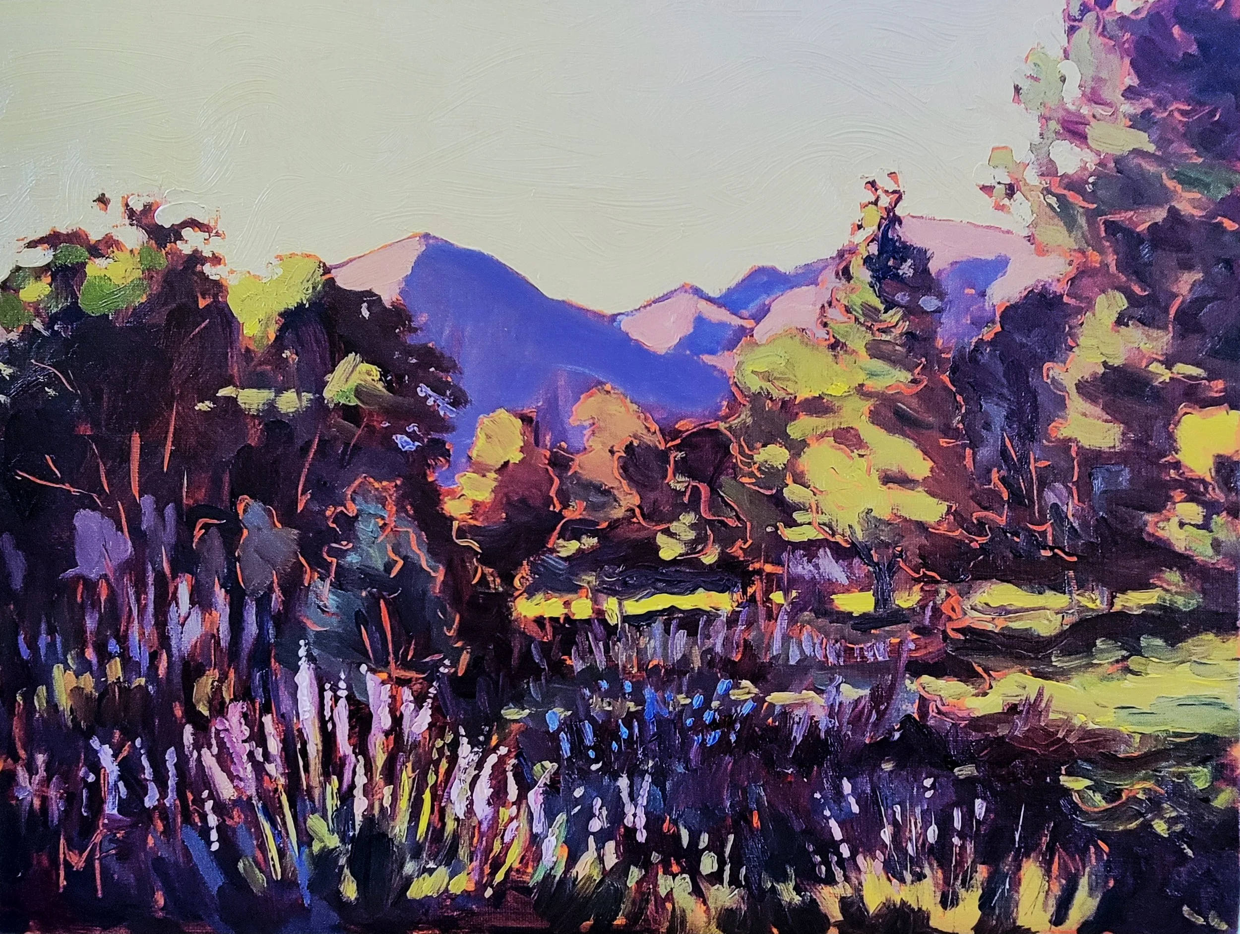 $350 Morning Shadows, ojai, ca 11 by 14.jpg
