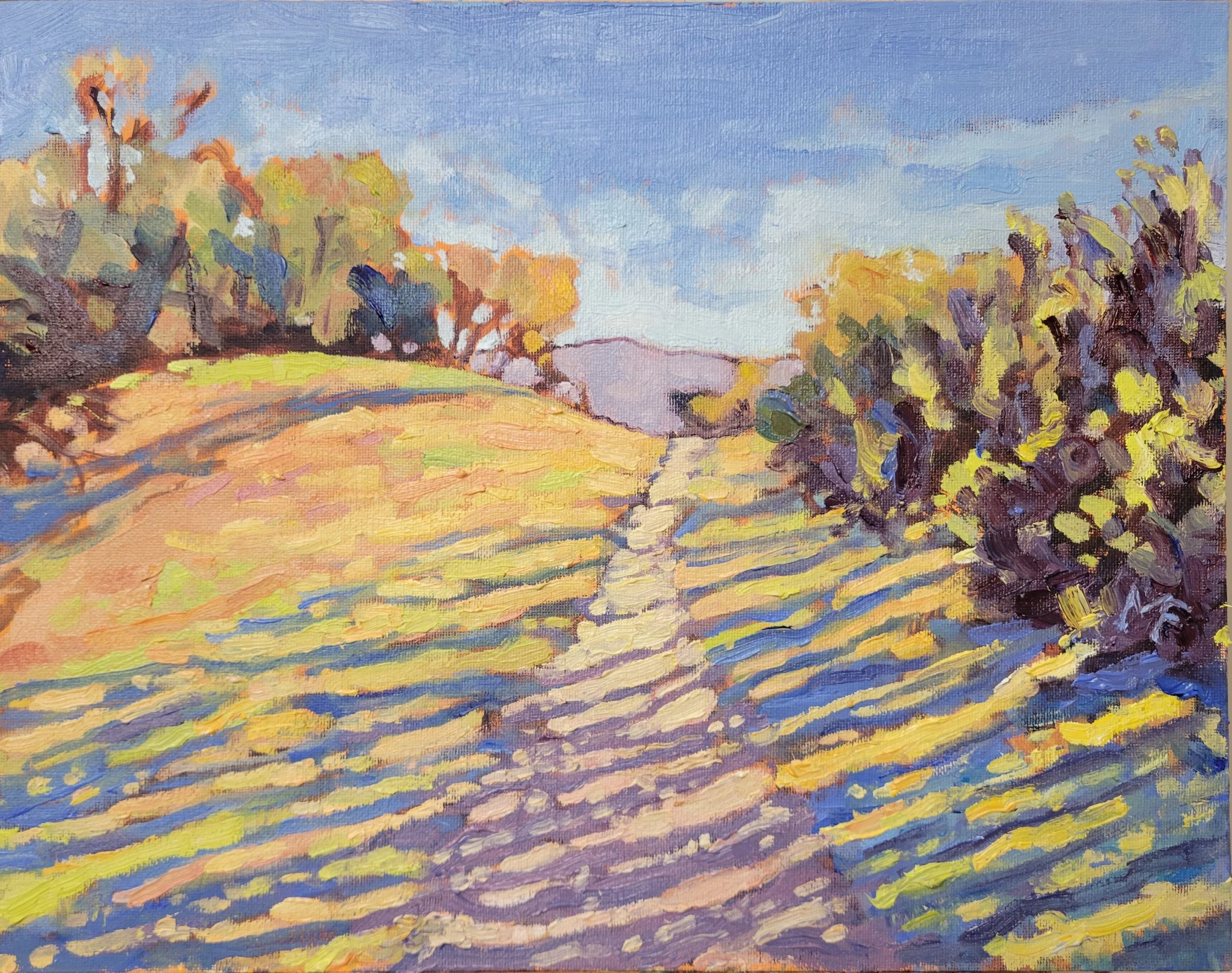 Evening Shadows Pilot Hill, CA 11 by 14.jpg