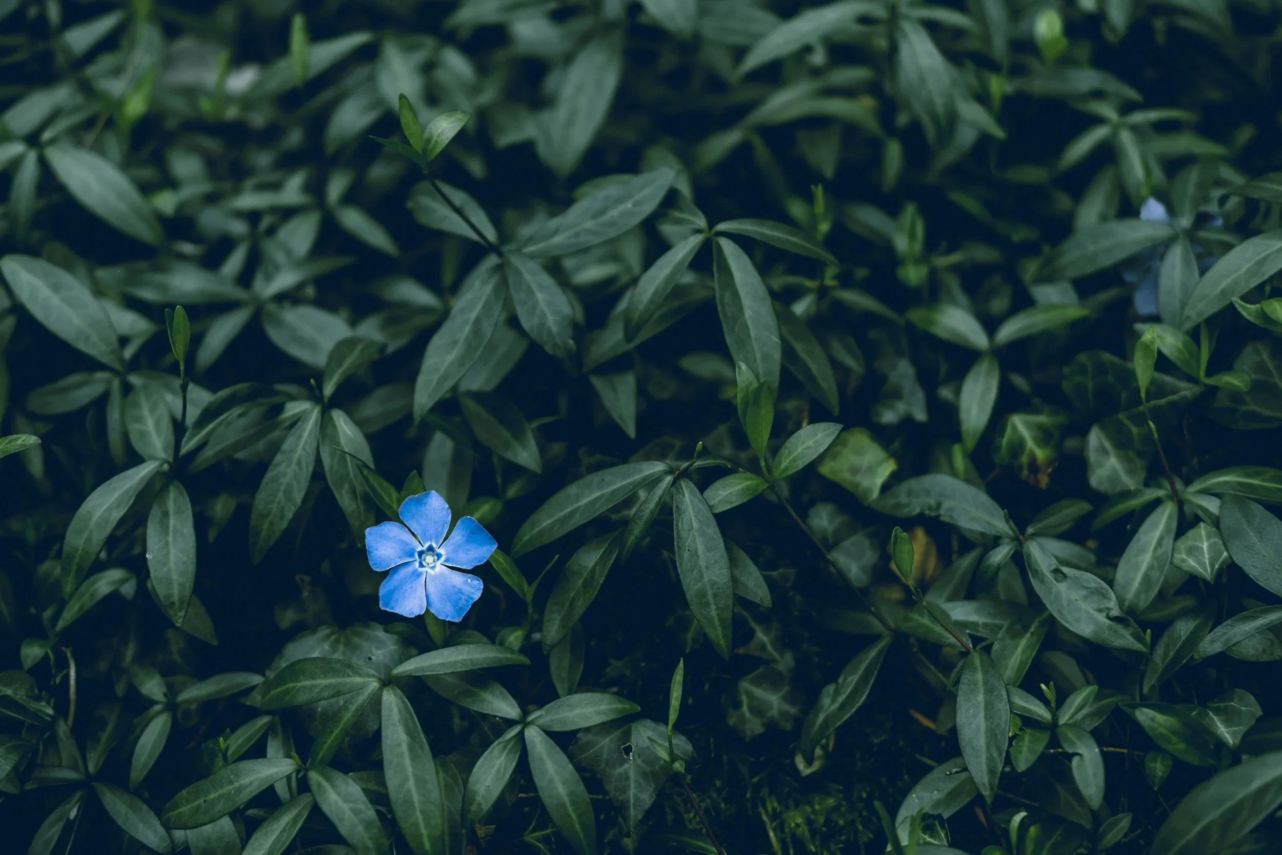 Why small changes in your patterns can change your life