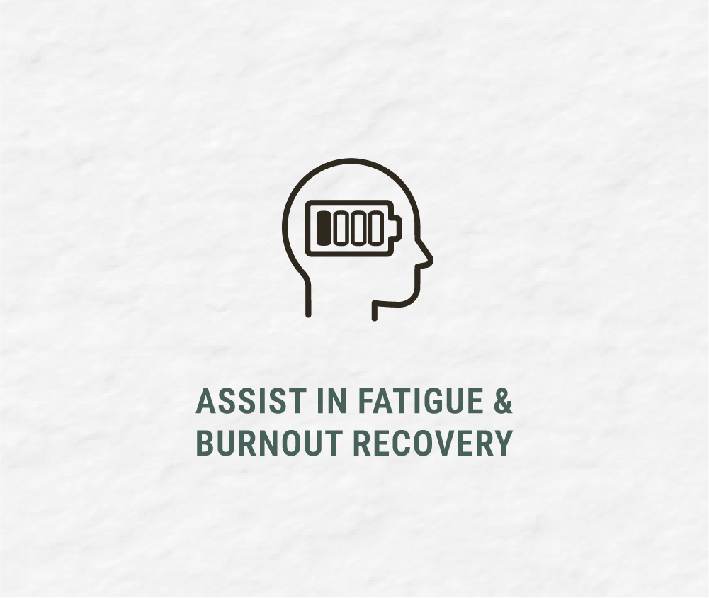 Line drawing of a person's head with a battery icon inside the brain area, indicating mental fatigue or energy levels, and text that reads 'Assist in Fatigue & Burnout Recovery'.