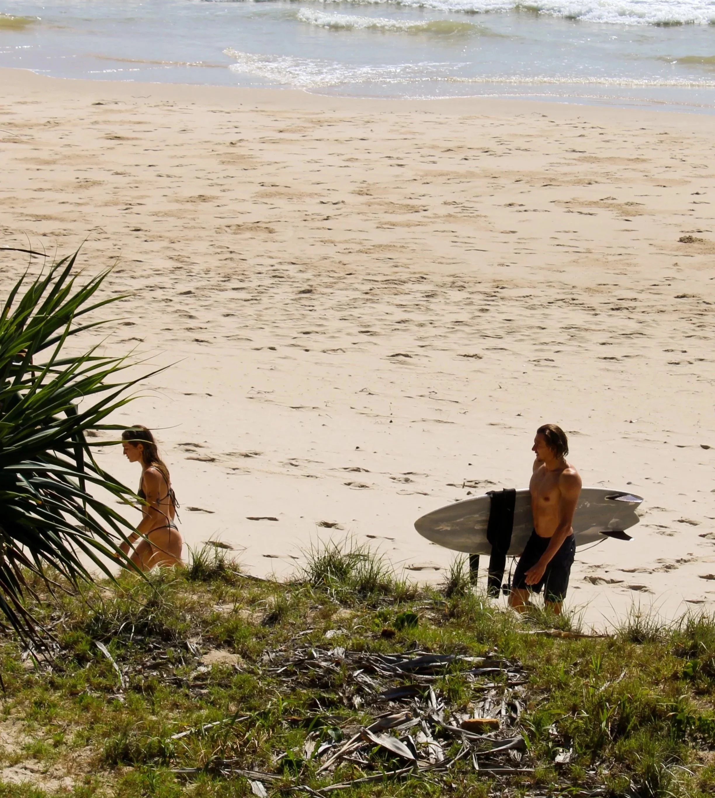 A man and a woman with surfboards walking on a sandy beach near the water, with green plants and grass in the foreground.