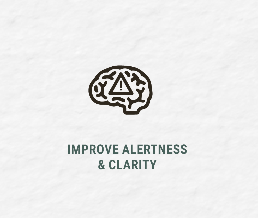 Icon of a brain with an alert warning triangle inside, with the text 'Improve Alertness & Clarity' underneath.