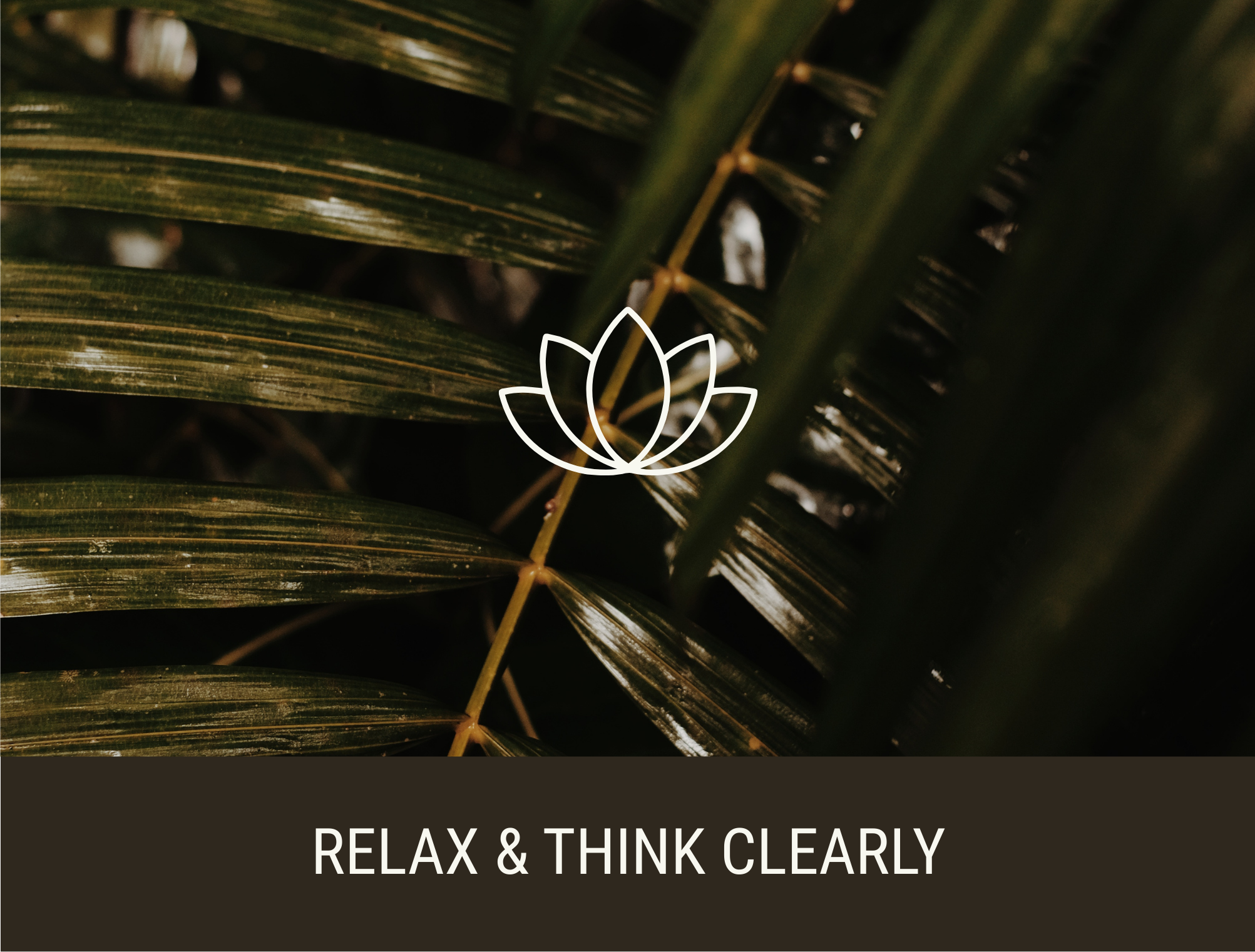 Close-up of green and brown palm leaves with overlaid white outline of a lotus flower, and the text 'RELAX & THINK CLEARLY' in white on a dark background.