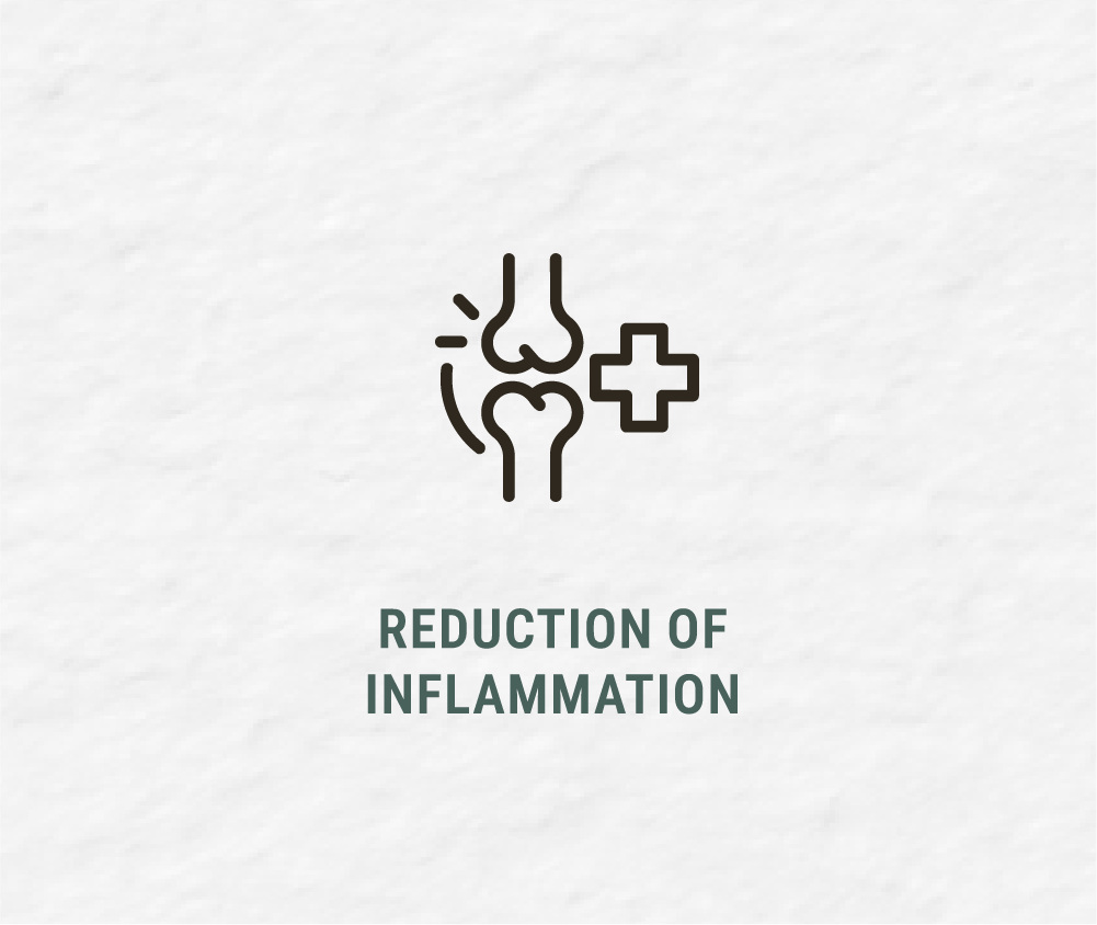 An icon of a knee joint with a plus sign, indicating reduction of inflammation.
