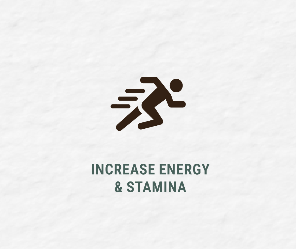 Icon of a person running with motion lines and the text "Increase Energy & Stamina" below.