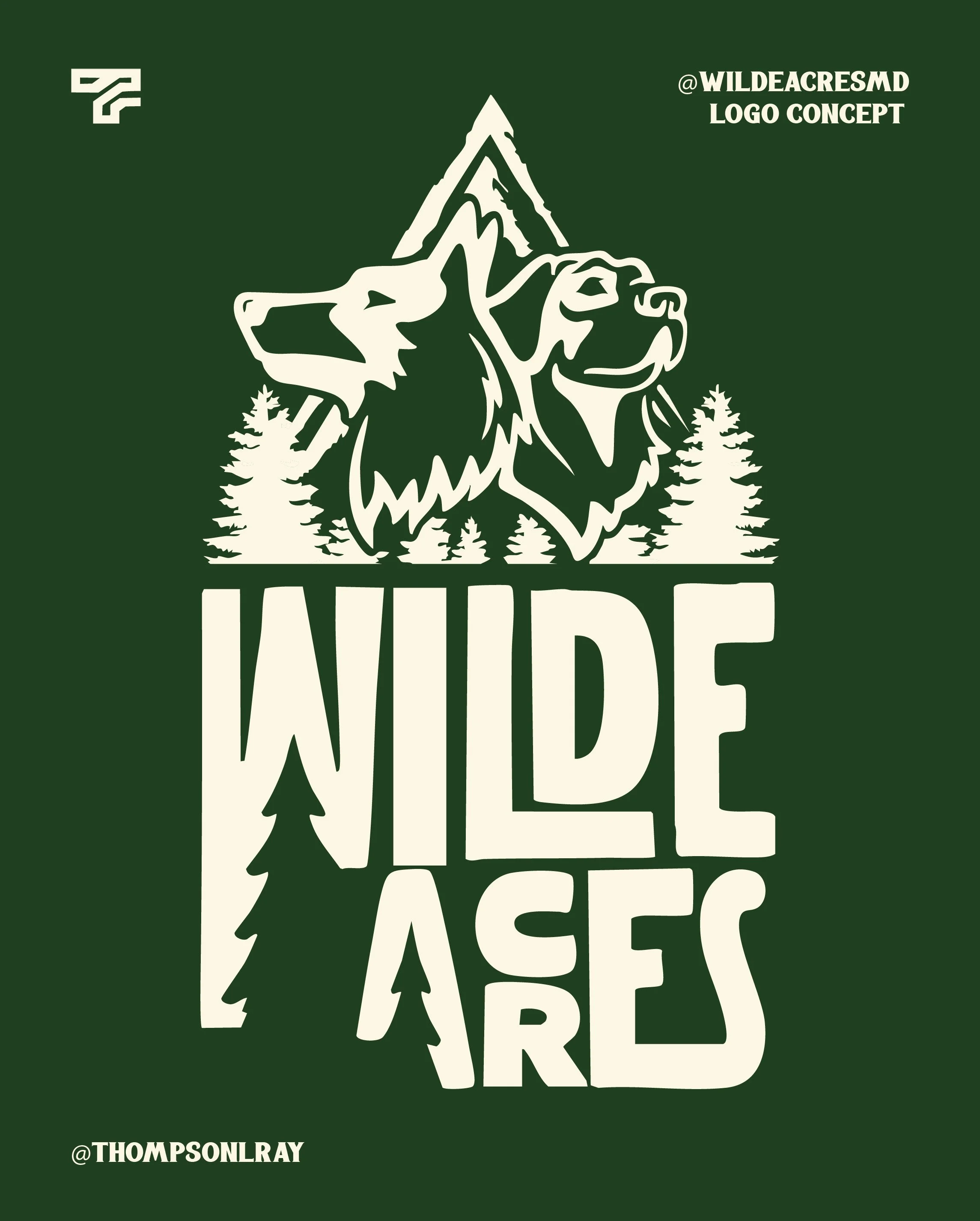 Illustration of a wolf and a bear's head with forest trees and mountains, and the words Widlfires in stylized font for a logo concept.