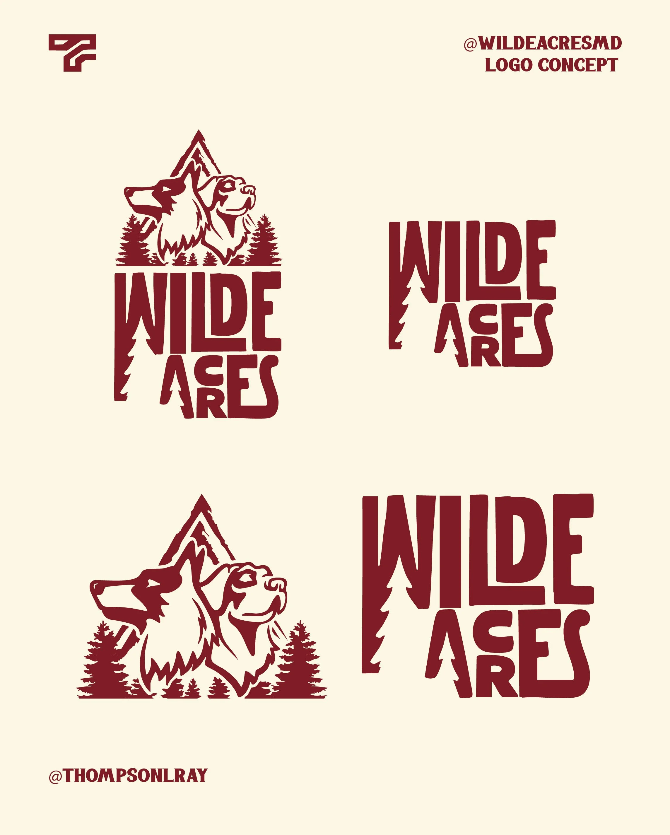 Concept sketches of a logo for 'Wilde Ares' featuring a wolf and a mountain, with pine trees and text, including social media handles.