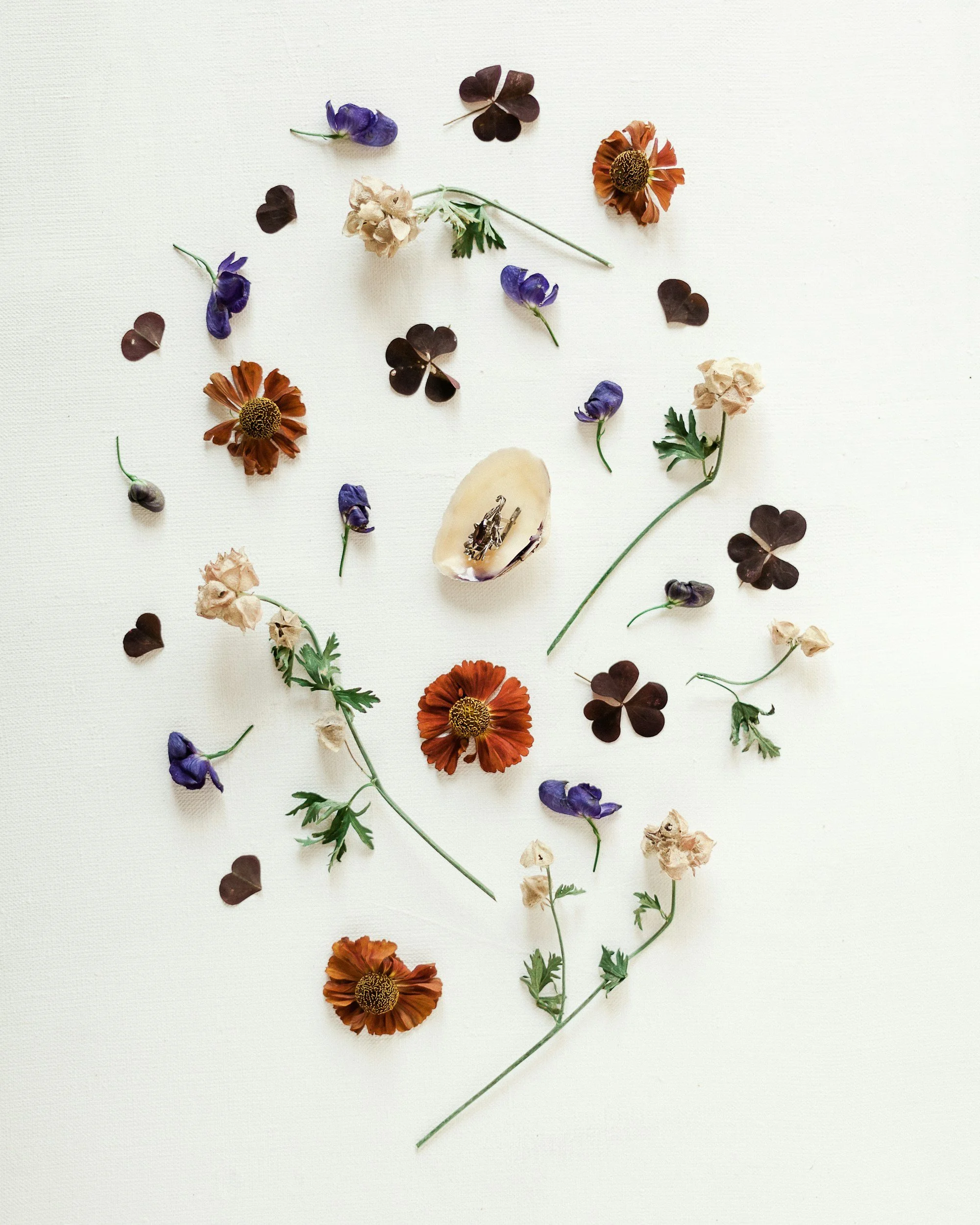 Arrangement of dried flowers, including purple, orange, and beige blossoms, with some green leaves and small dark heart-shaped leaves on a white background.