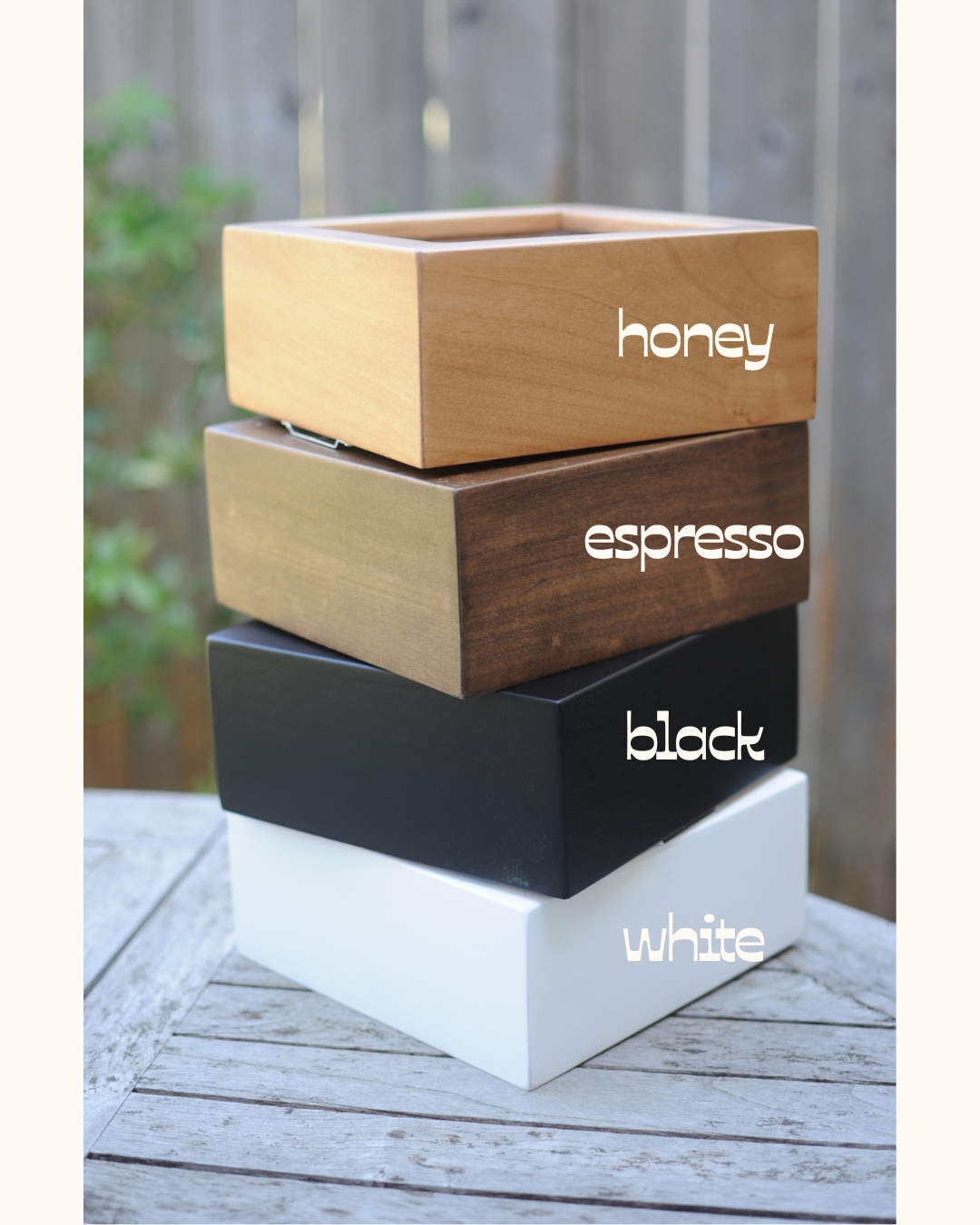 BEHELD BLOOMS INSTAGRAM.png