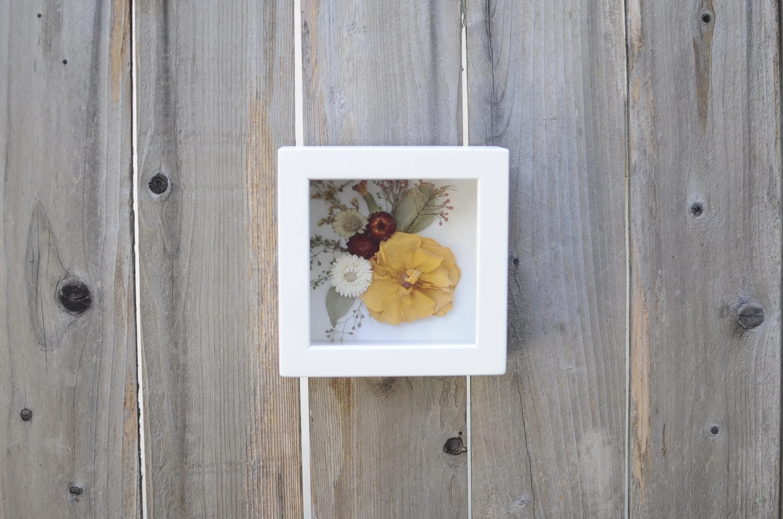Small Preserved Floral Shadow Box