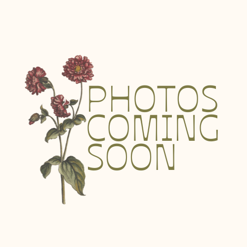 Large Preserved Floral Shadowbox