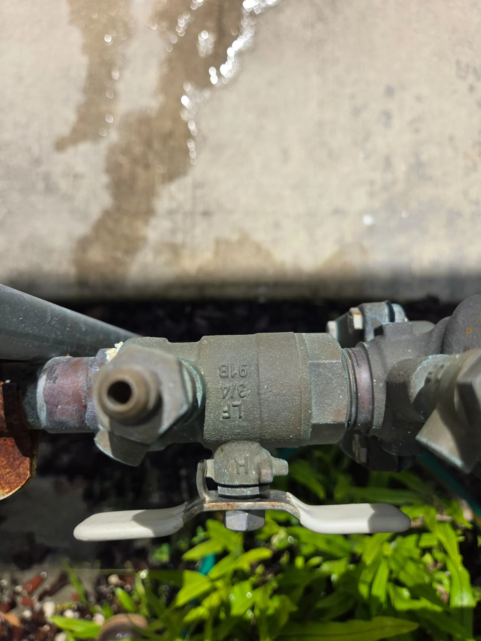 WhatsApp Image 2026-02-04 at 10.12.29 PM (2).jpeg