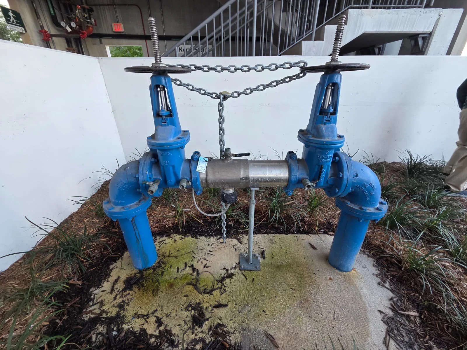 WhatsApp Image 2026-02-04 at 10.05.24 PM.jpeg