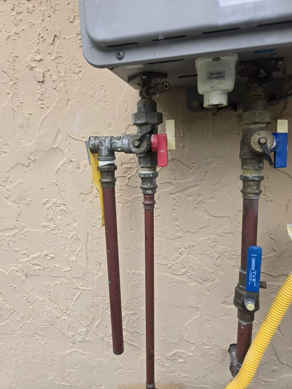 WhatsApp Image 2026-02-04 at 10.21.44 PM (3).jpeg