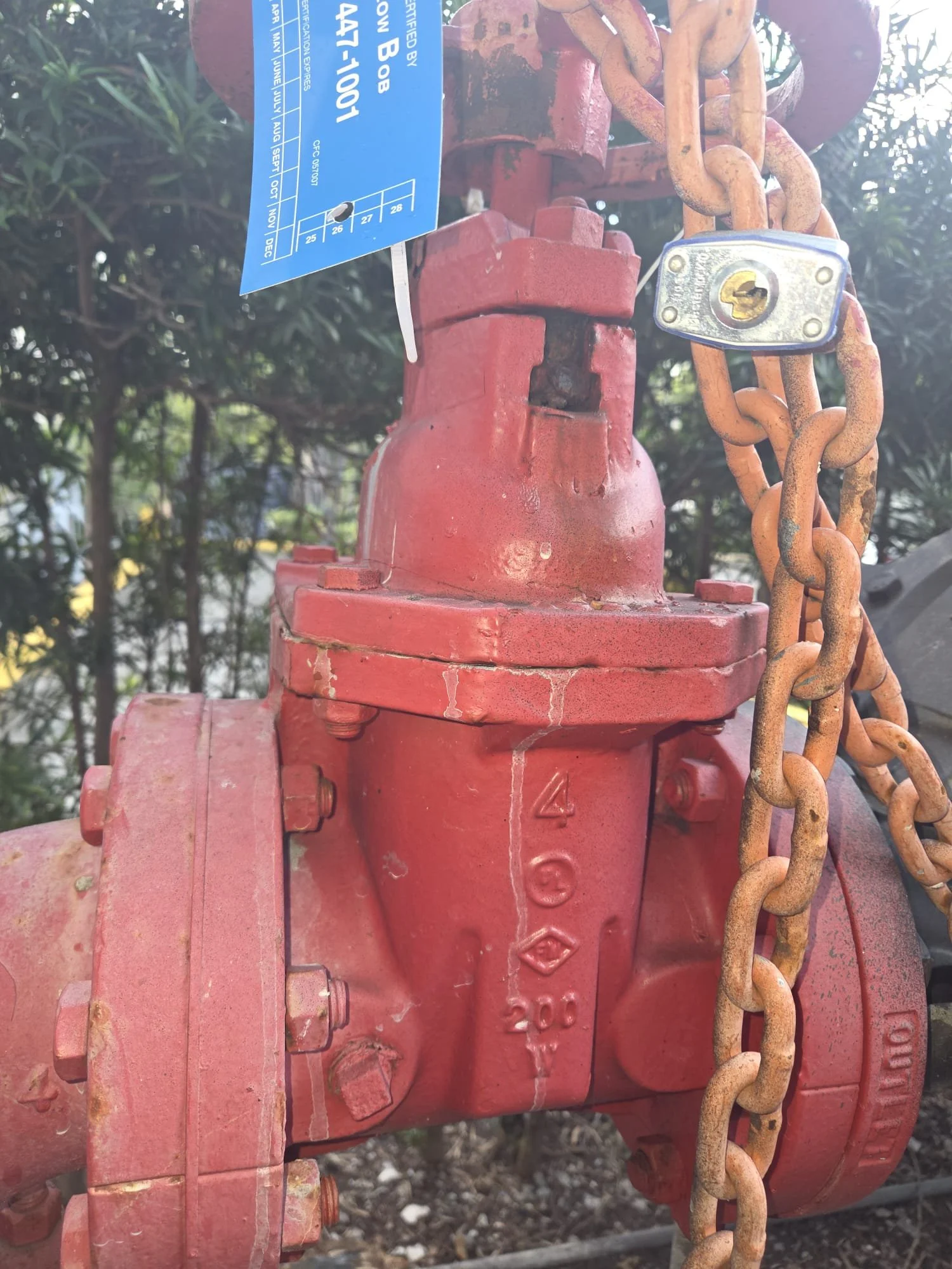 WhatsApp Image 2026-02-04 at 10.04.44 PM (2).jpeg