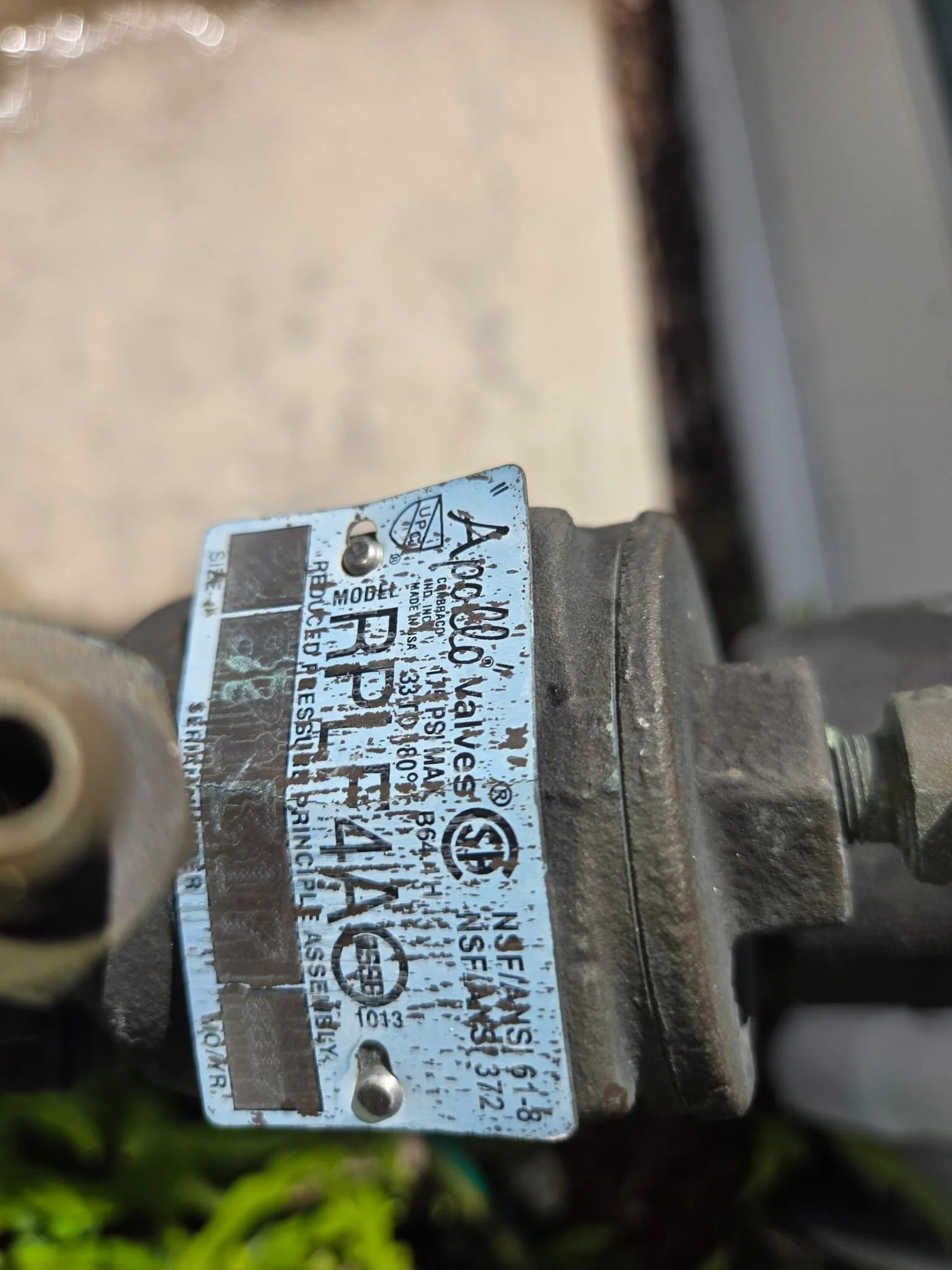 WhatsApp Image 2026-02-04 at 10.12.29 PM (1).jpeg