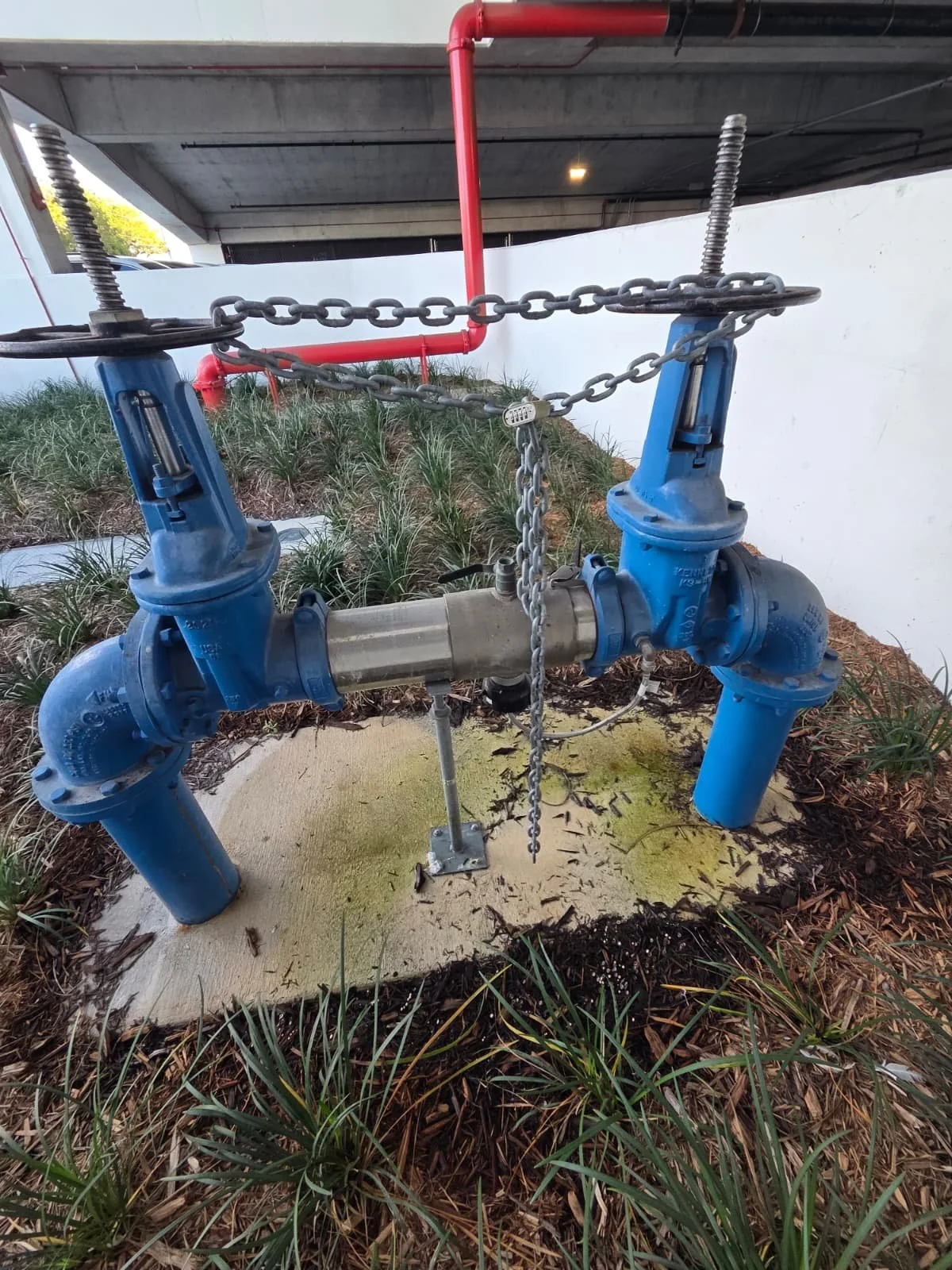 WhatsApp Image 2026-02-04 at 10.05.23 PM.jpeg