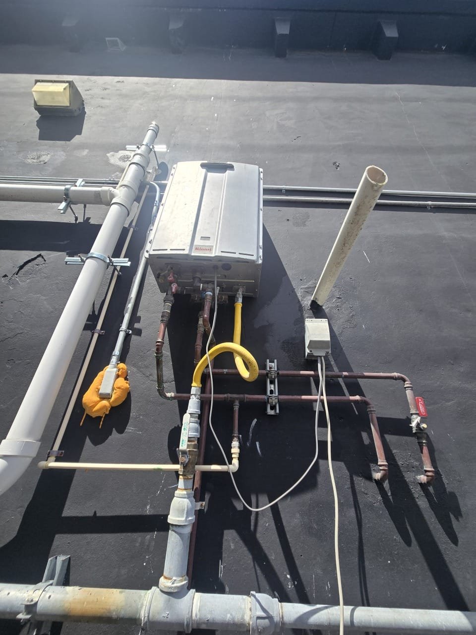 WhatsApp Image 2026-02-04 at 10.21.43 PM.jpeg