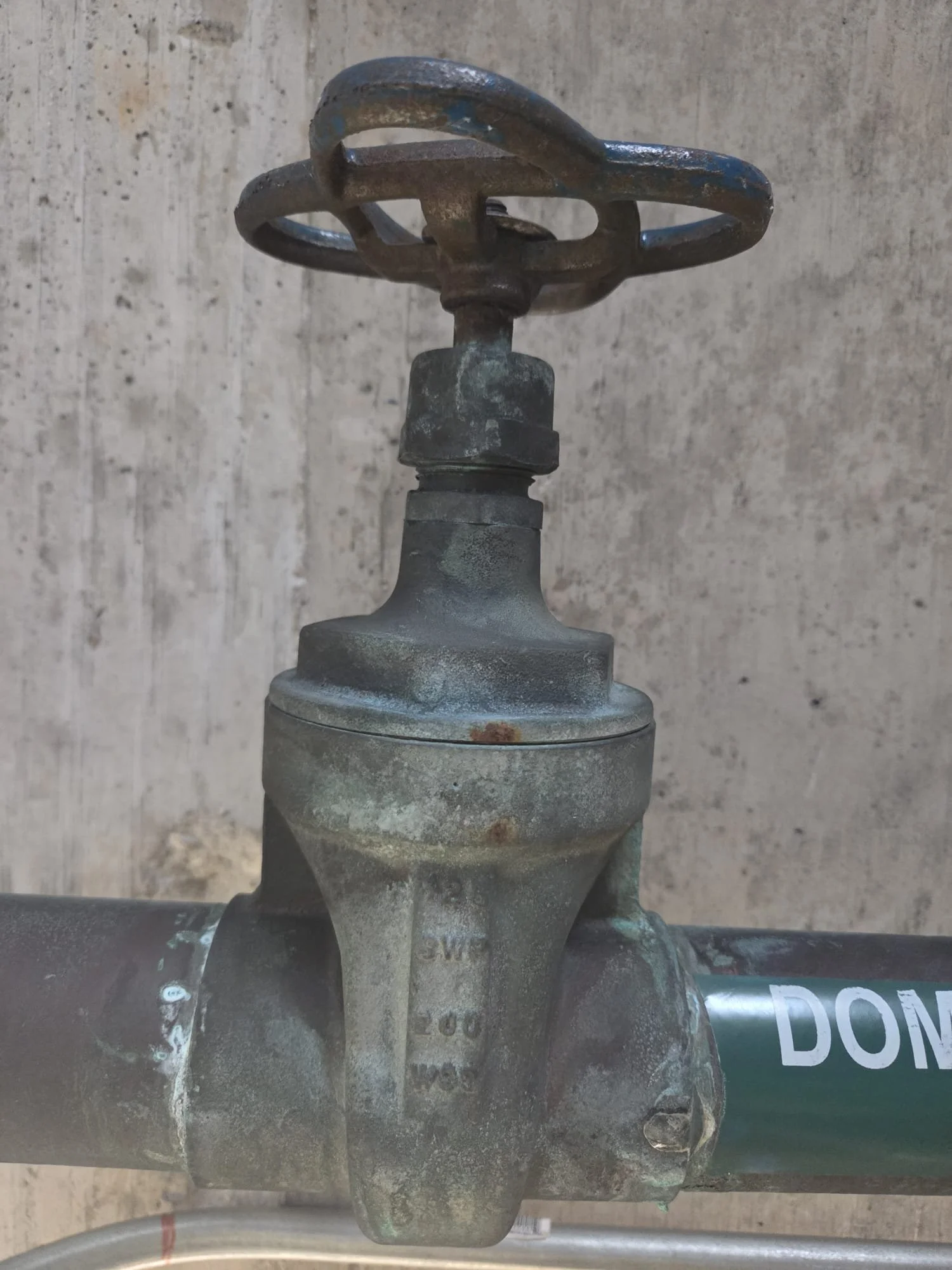 WhatsApp Image 2026-02-04 at 10.04.48 PM (1).jpeg