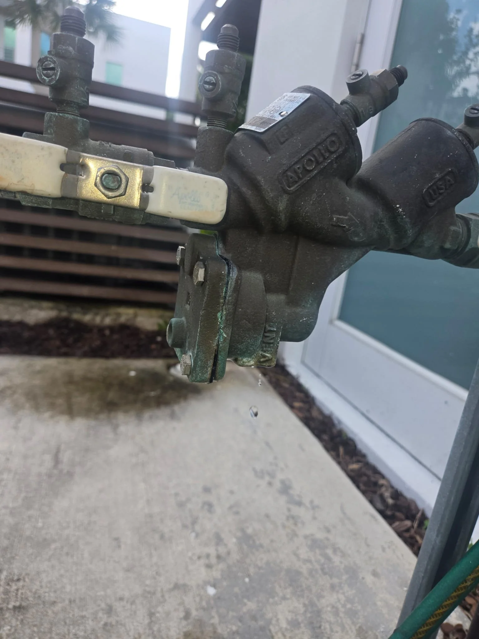 WhatsApp Image 2026-02-04 at 10.12.29 PM (4).jpeg