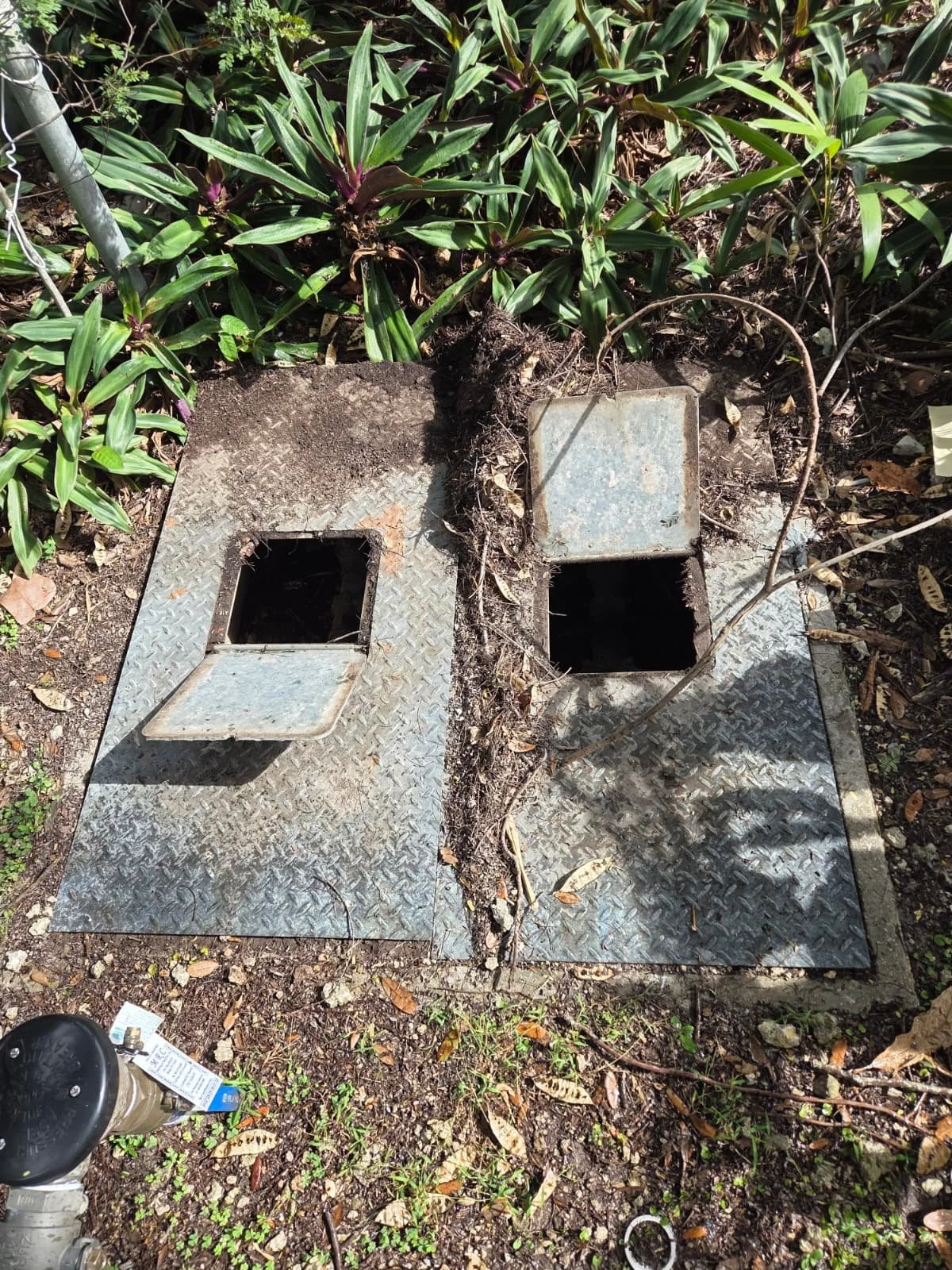 WhatsApp Image 2026-02-04 at 10.09.53 PM (2).jpeg