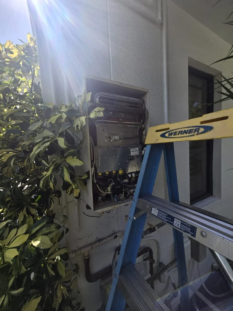 WhatsApp Image 2026-02-04 at 10.21.38 PM (1).jpeg