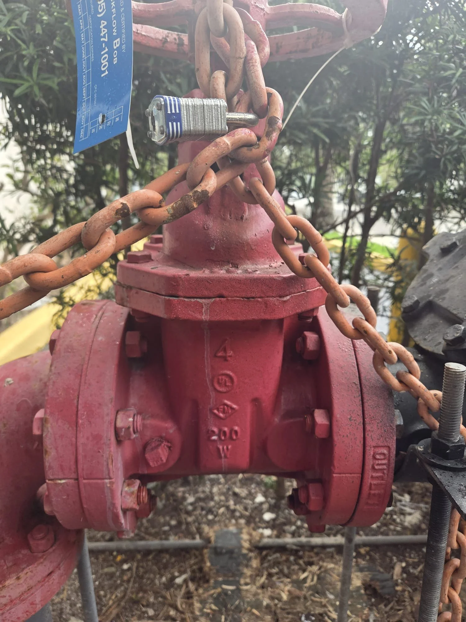 WhatsApp Image 2026-02-04 at 10.04.49 PM (4).jpeg