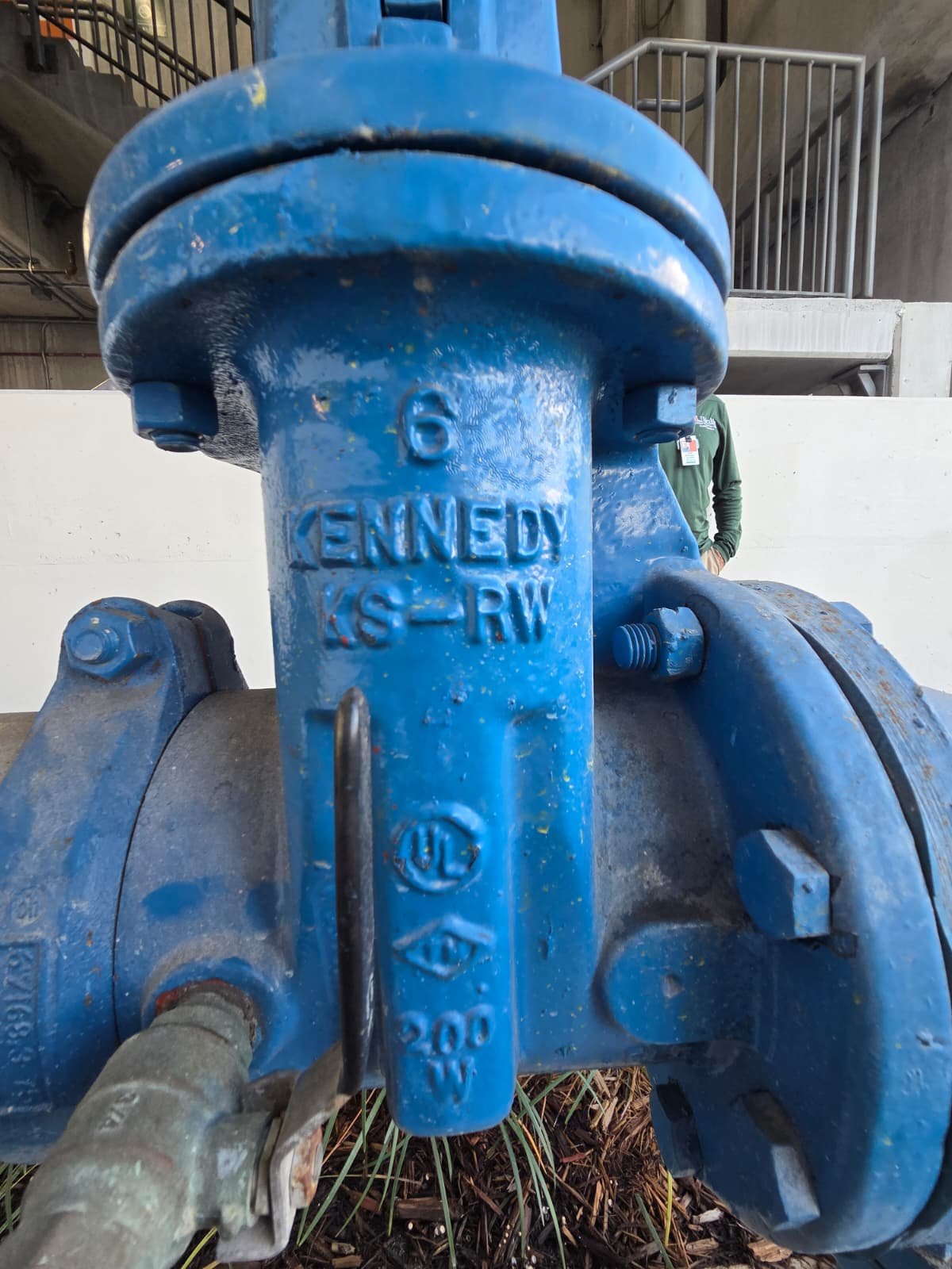 WhatsApp Image 2026-02-04 at 10.05.23 PM (2).jpeg