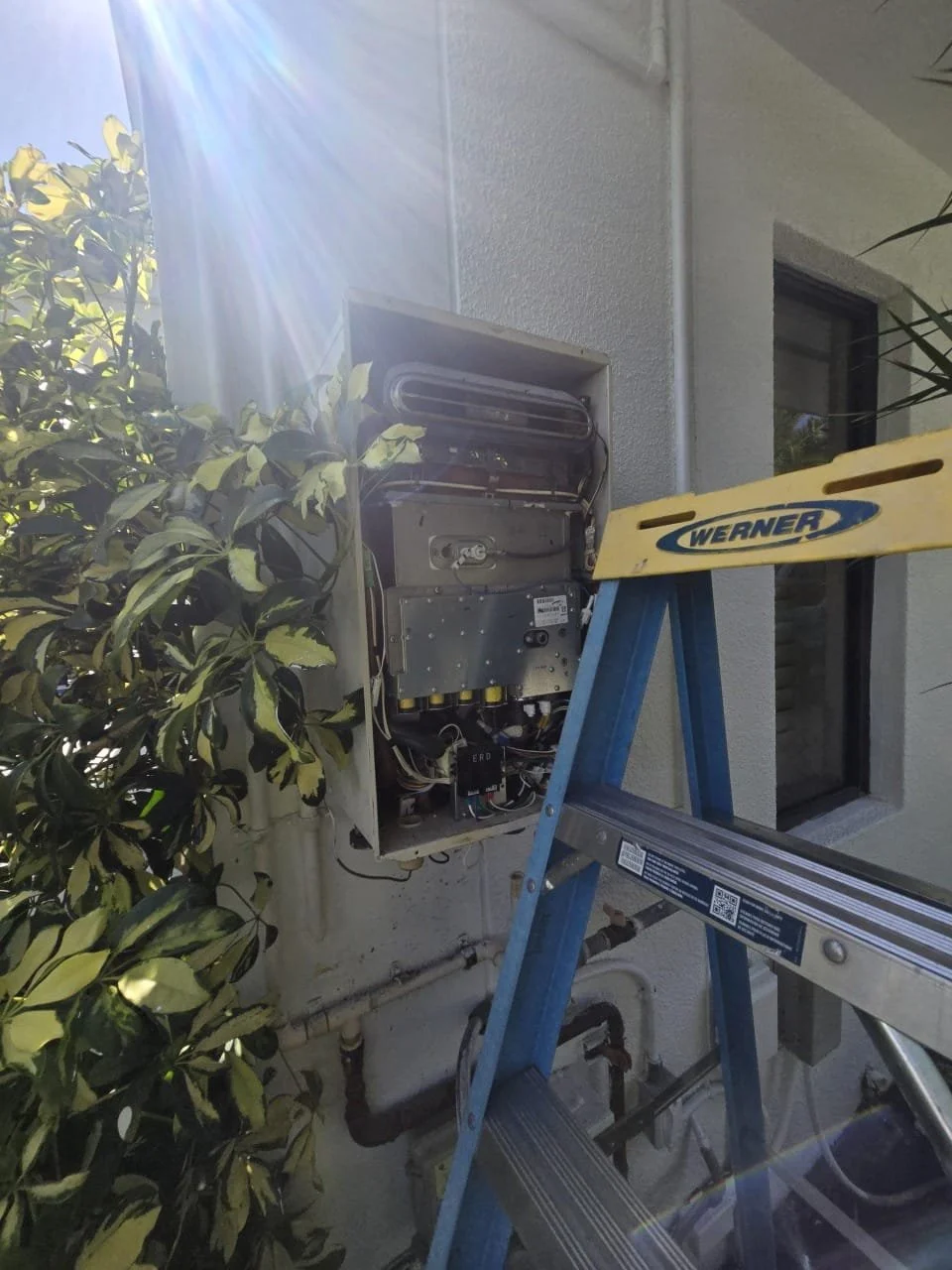 WhatsApp Image 2026-02-04 at 10.21.38 PM (2).jpeg