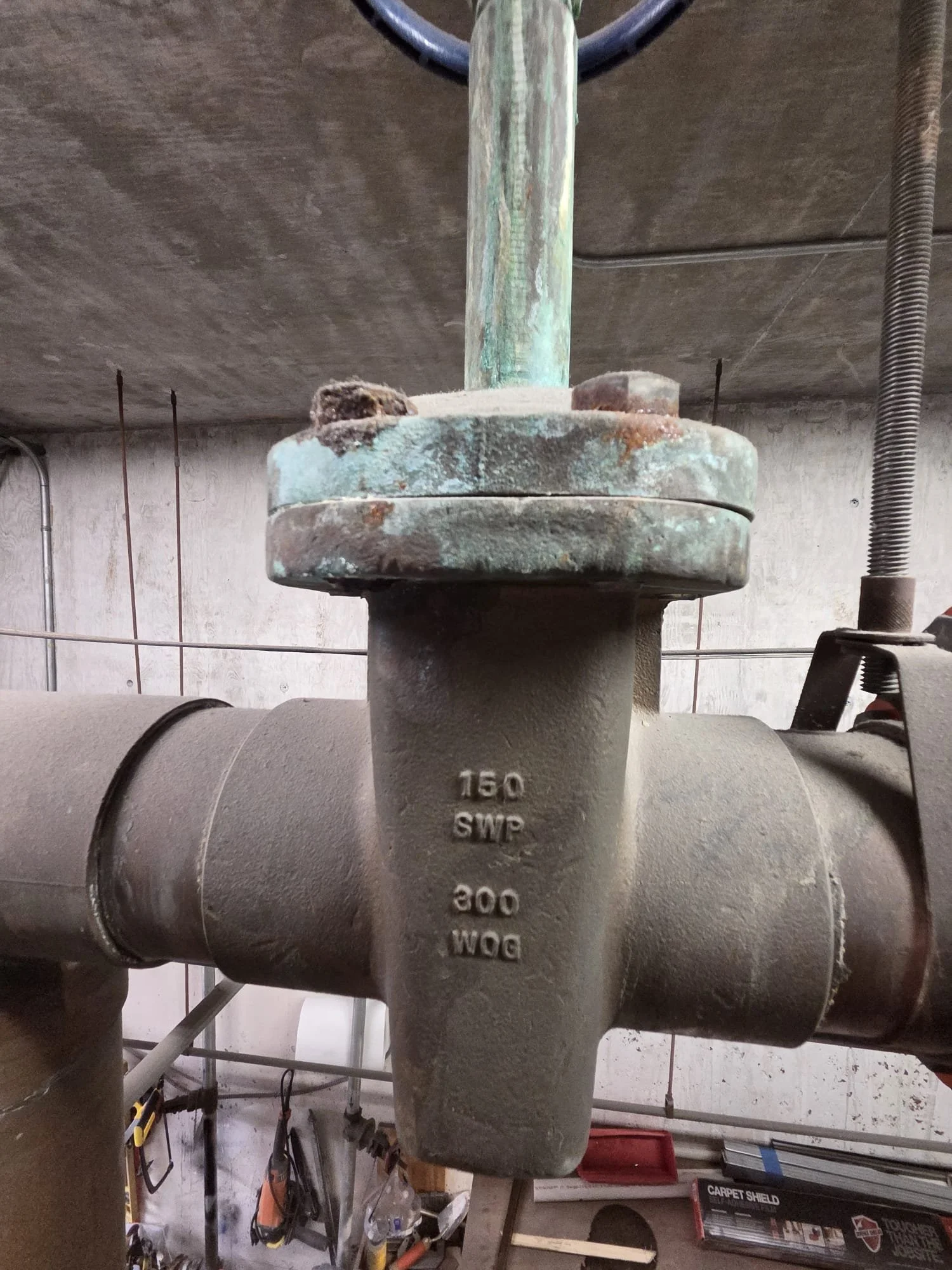 WhatsApp Image 2026-02-04 at 10.04.48 PM (6).jpeg