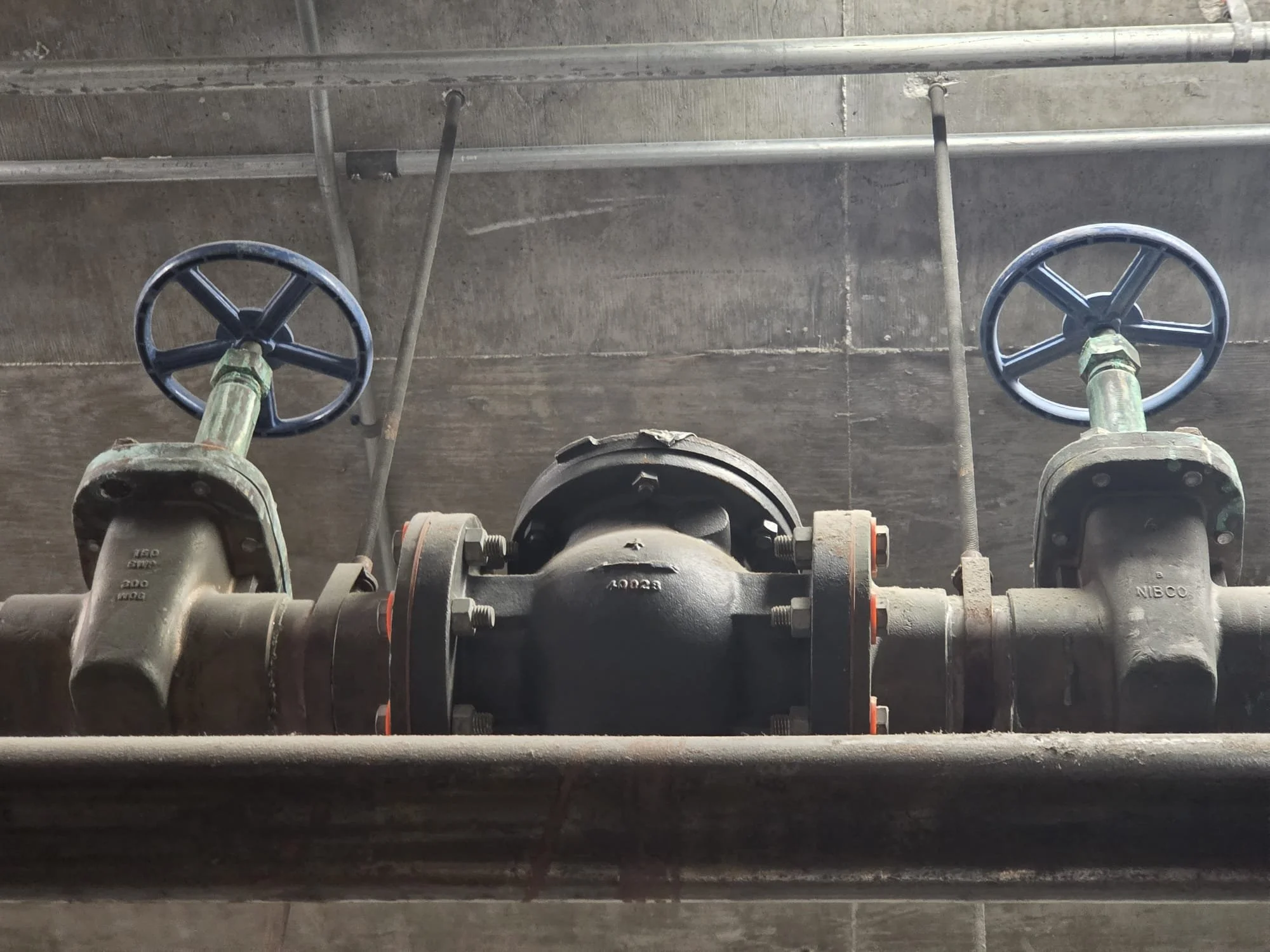 WhatsApp Image 2026-02-04 at 10.04.49 PM (2).jpeg