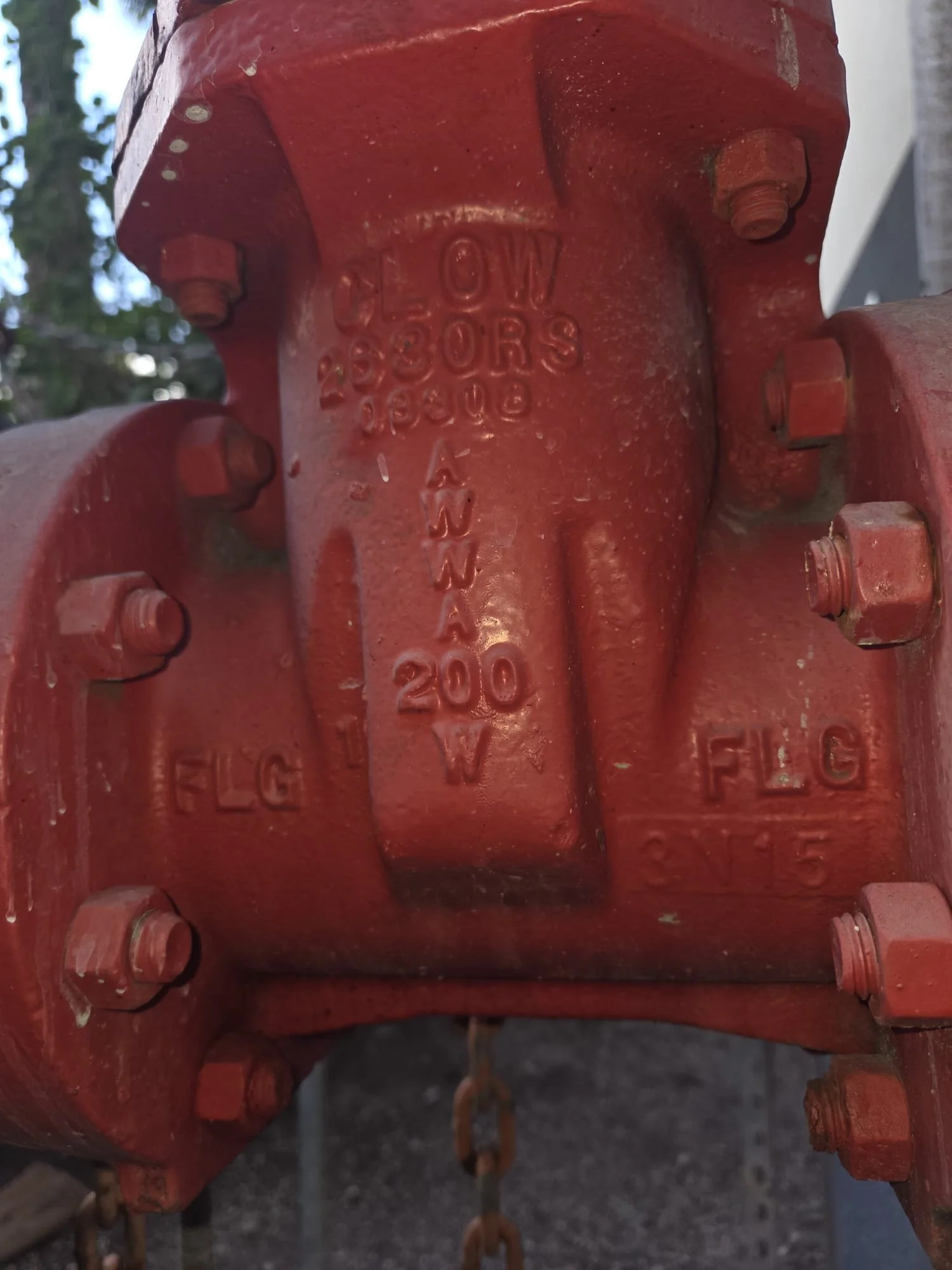 WhatsApp Image 2026-02-04 at 10.04.44 PM.jpeg