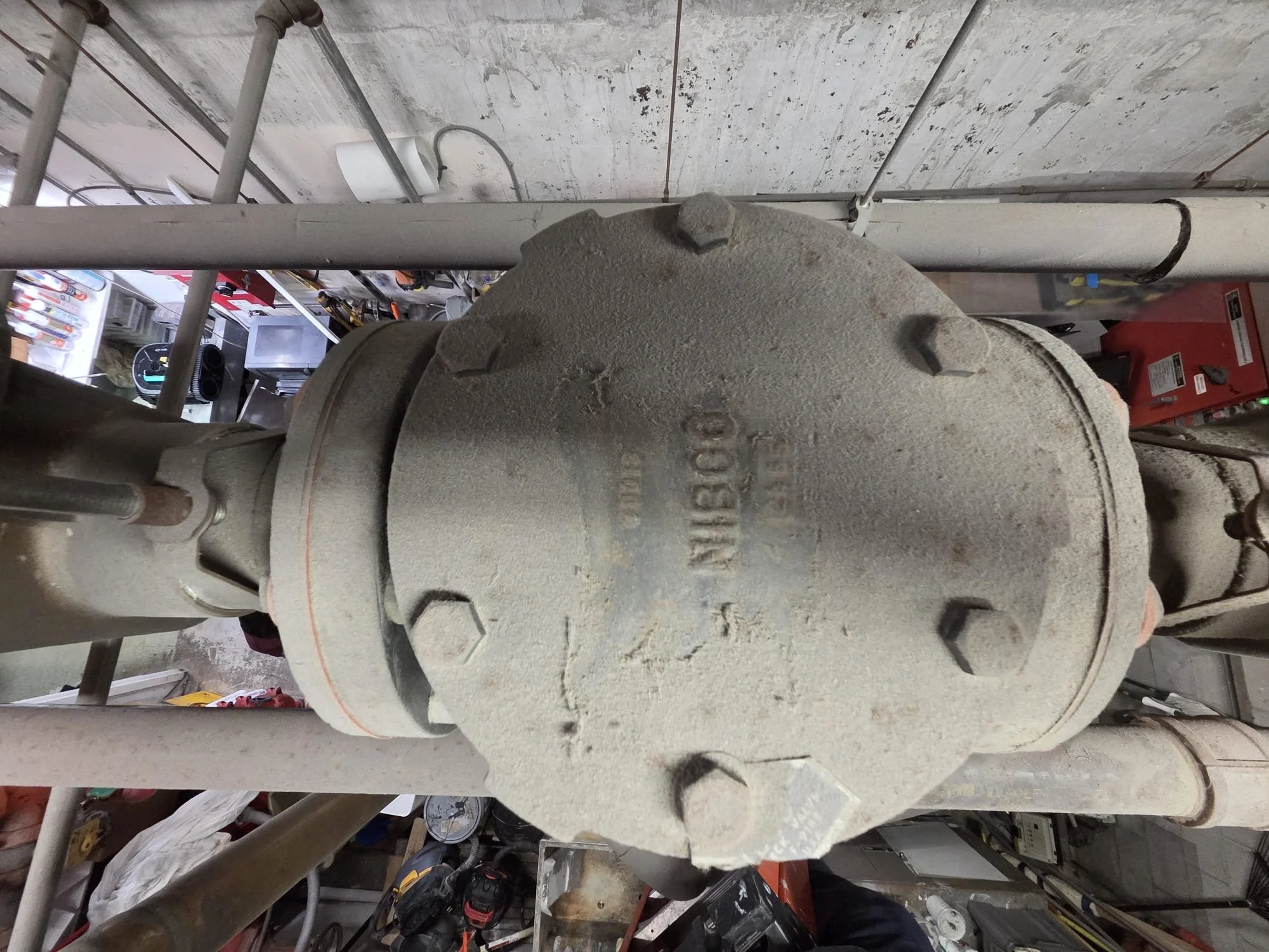 WhatsApp Image 2026-02-04 at 10.04.49 PM.jpeg