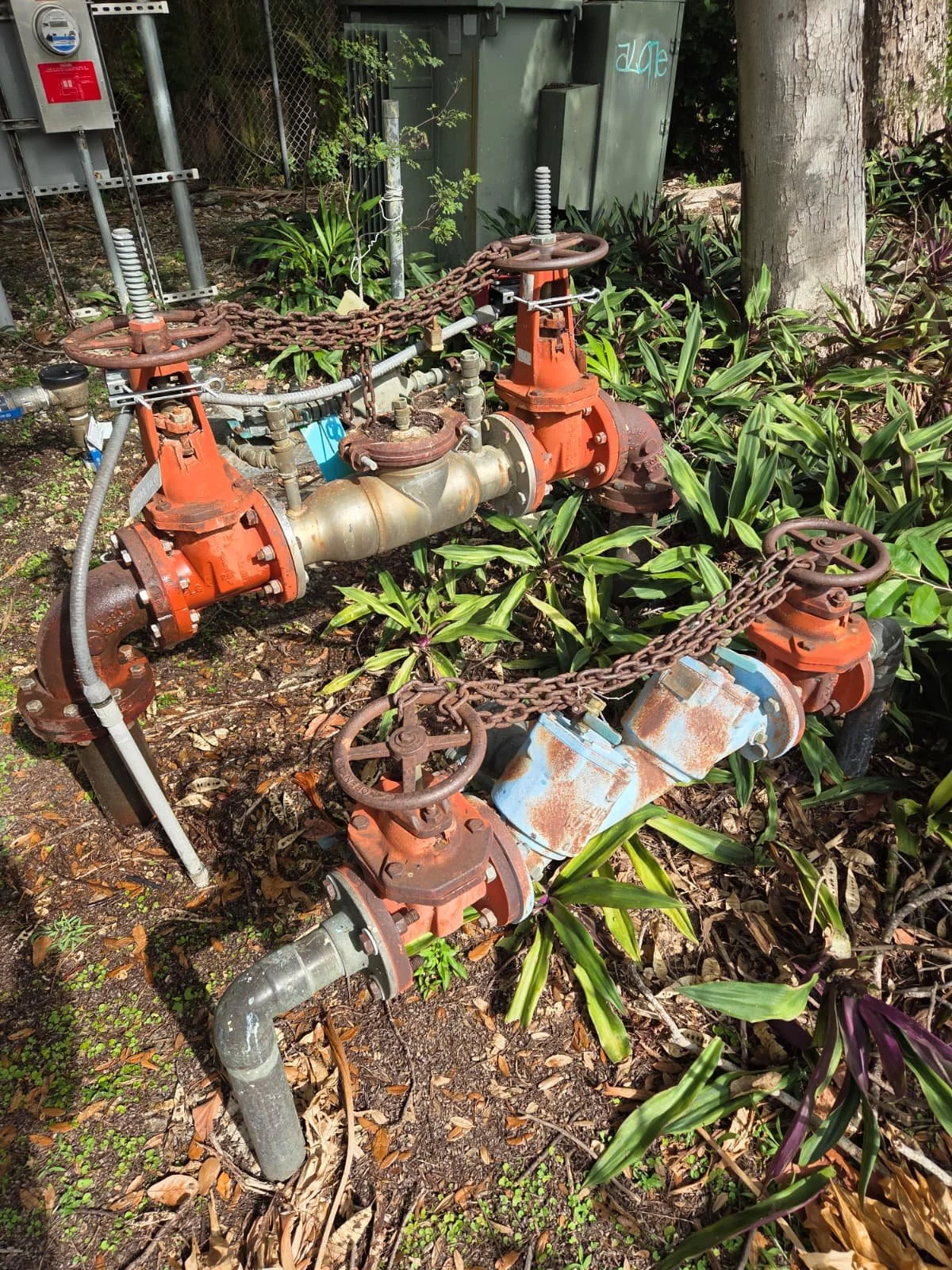 WhatsApp Image 2026-02-04 at 10.09.53 PM (1).jpeg