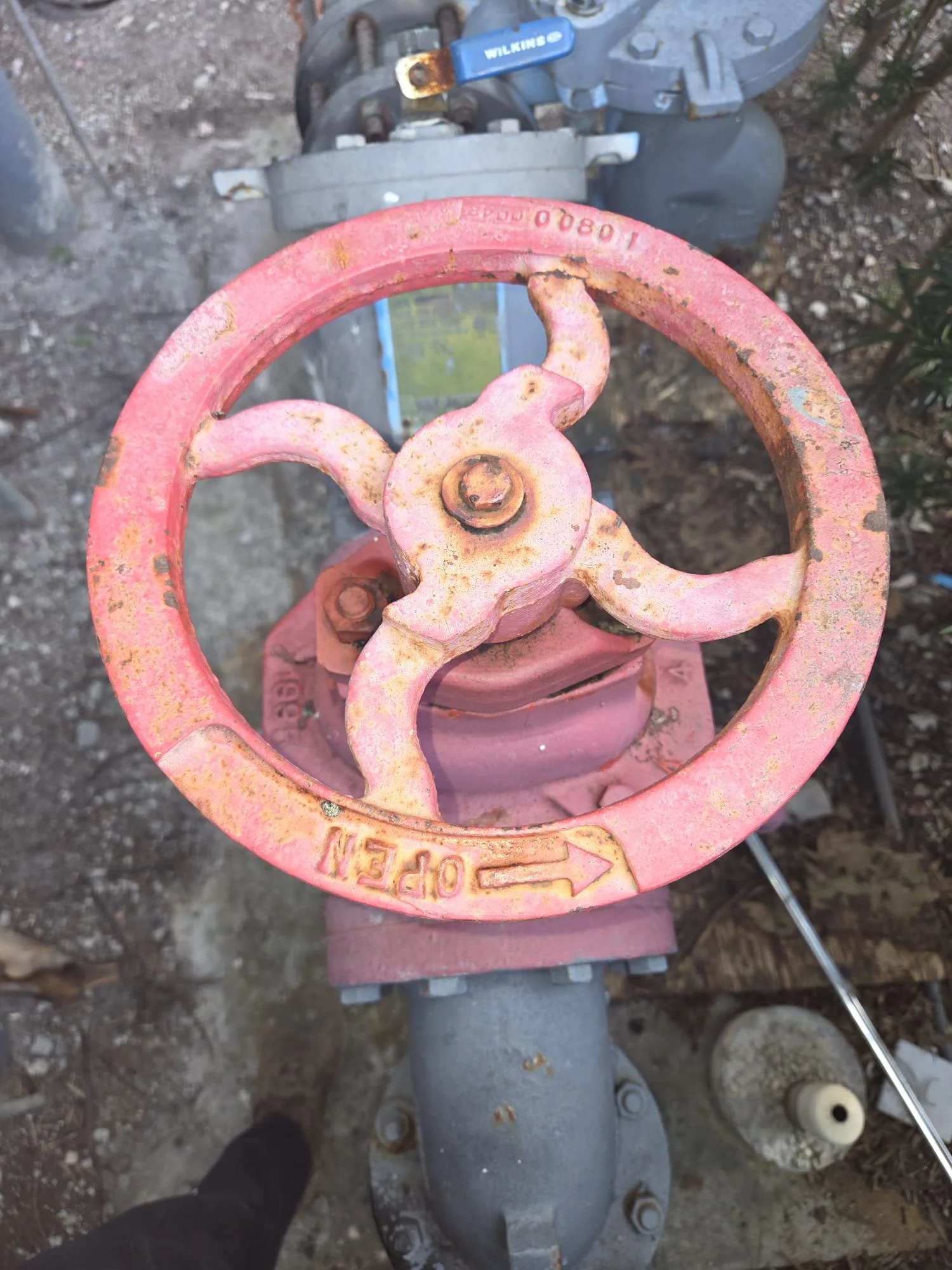 WhatsApp Image 2026-02-04 at 10.04.46 PM.jpeg