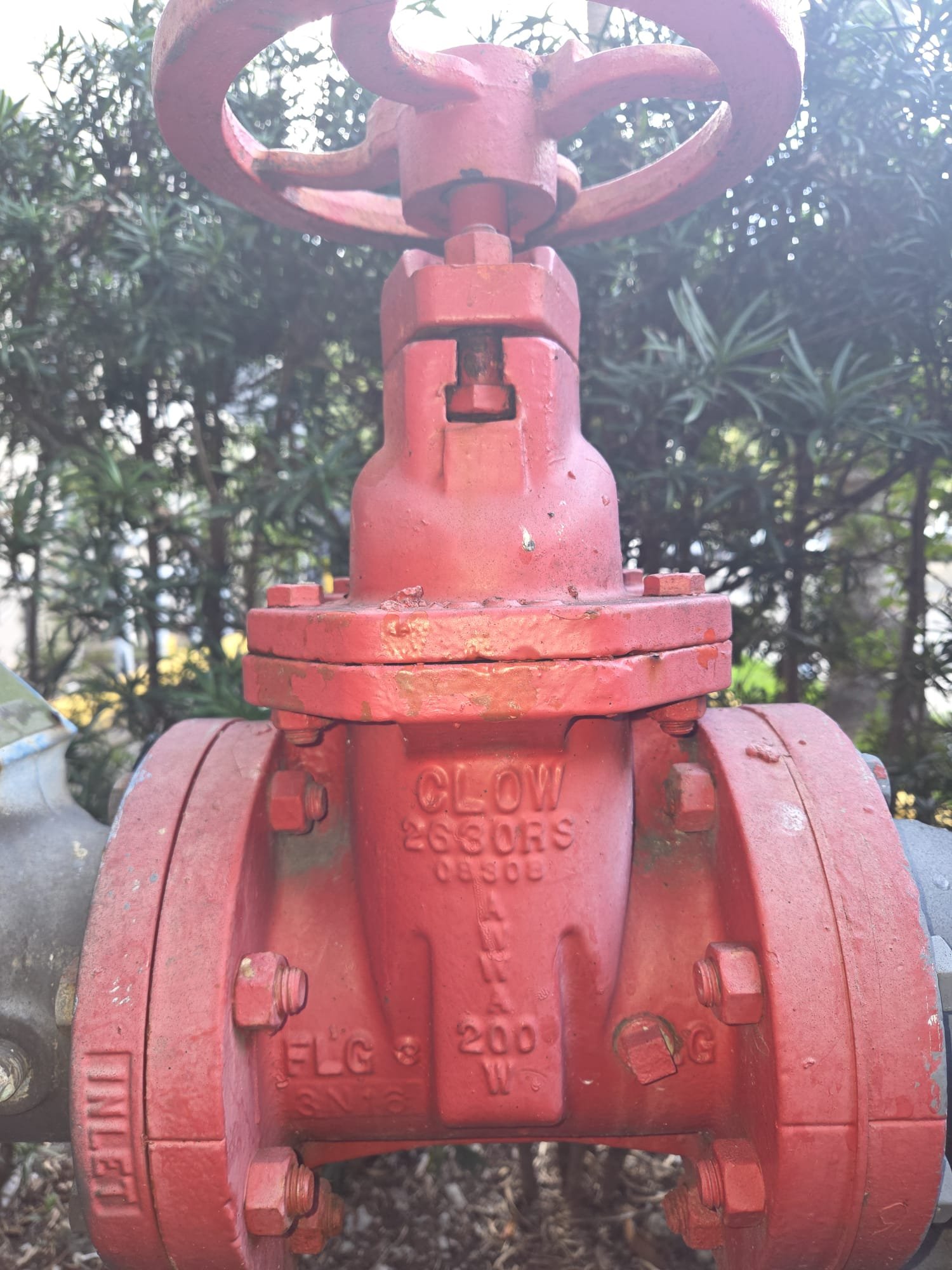 WhatsApp Image 2026-02-04 at 10.04.47 PM.jpeg