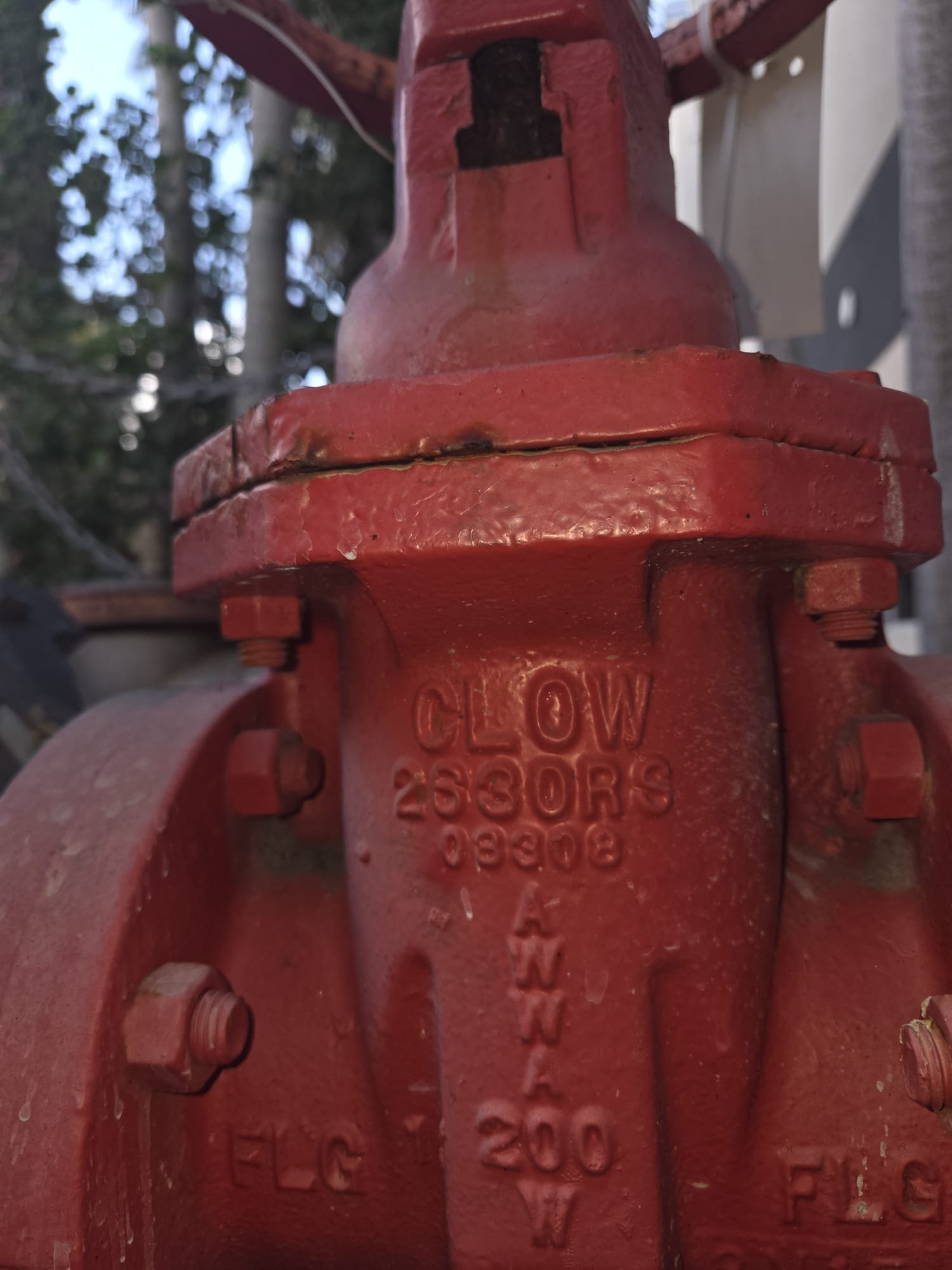 WhatsApp Image 2026-02-04 at 10.04.44 PM (1).jpeg