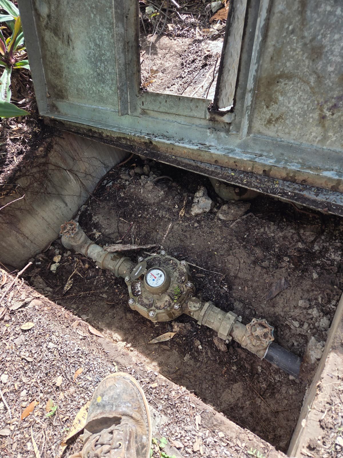 WhatsApp Image 2026-02-04 at 10.09.55 PM.jpeg