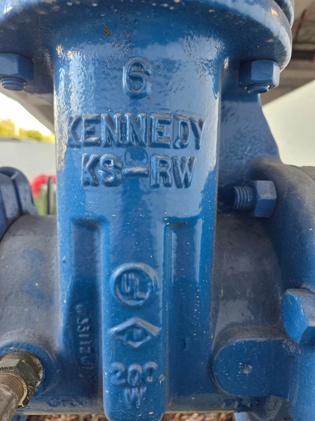 WhatsApp Image 2026-02-04 at 10.05.24 PM (1).jpeg