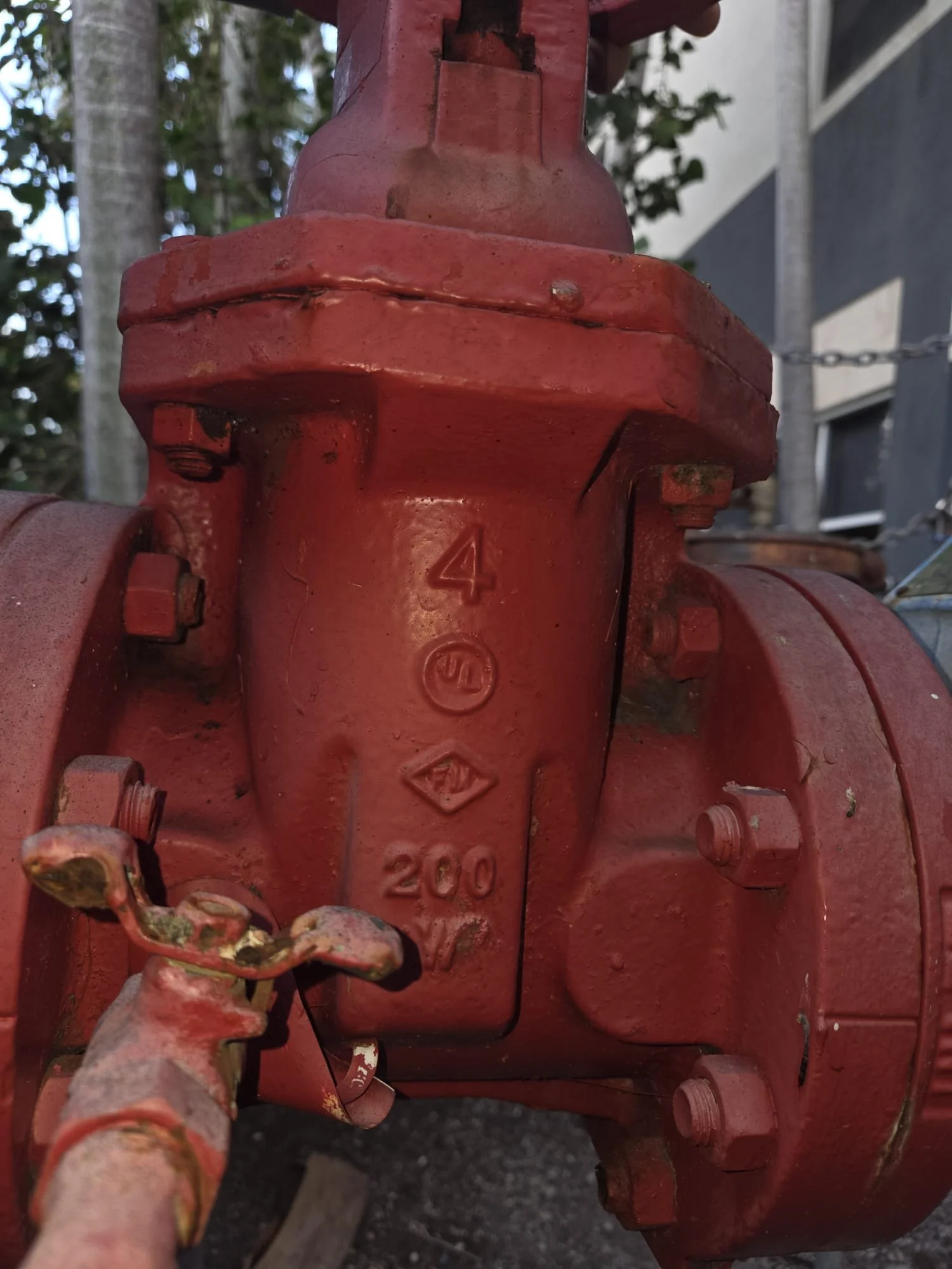 WhatsApp Image 2026-02-04 at 10.04.45 PM.jpeg