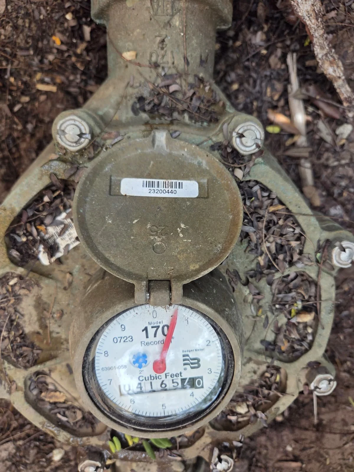 WhatsApp Image 2026-02-04 at 10.09.54 PM (1).jpeg