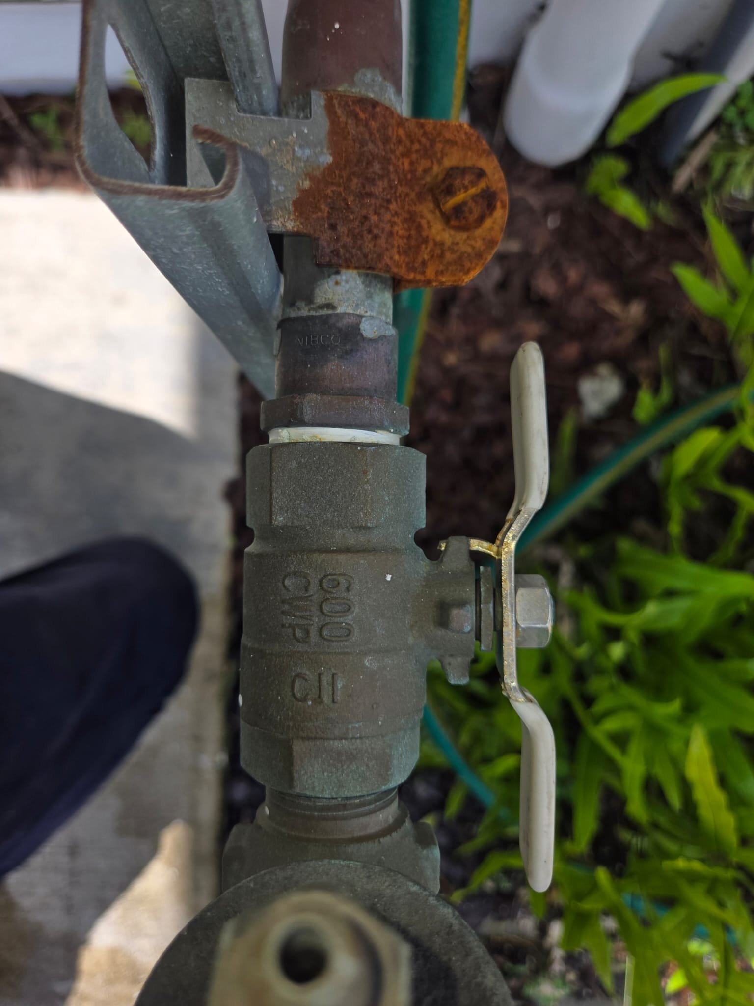 WhatsApp Image 2026-02-04 at 10.12.29 PM.jpeg