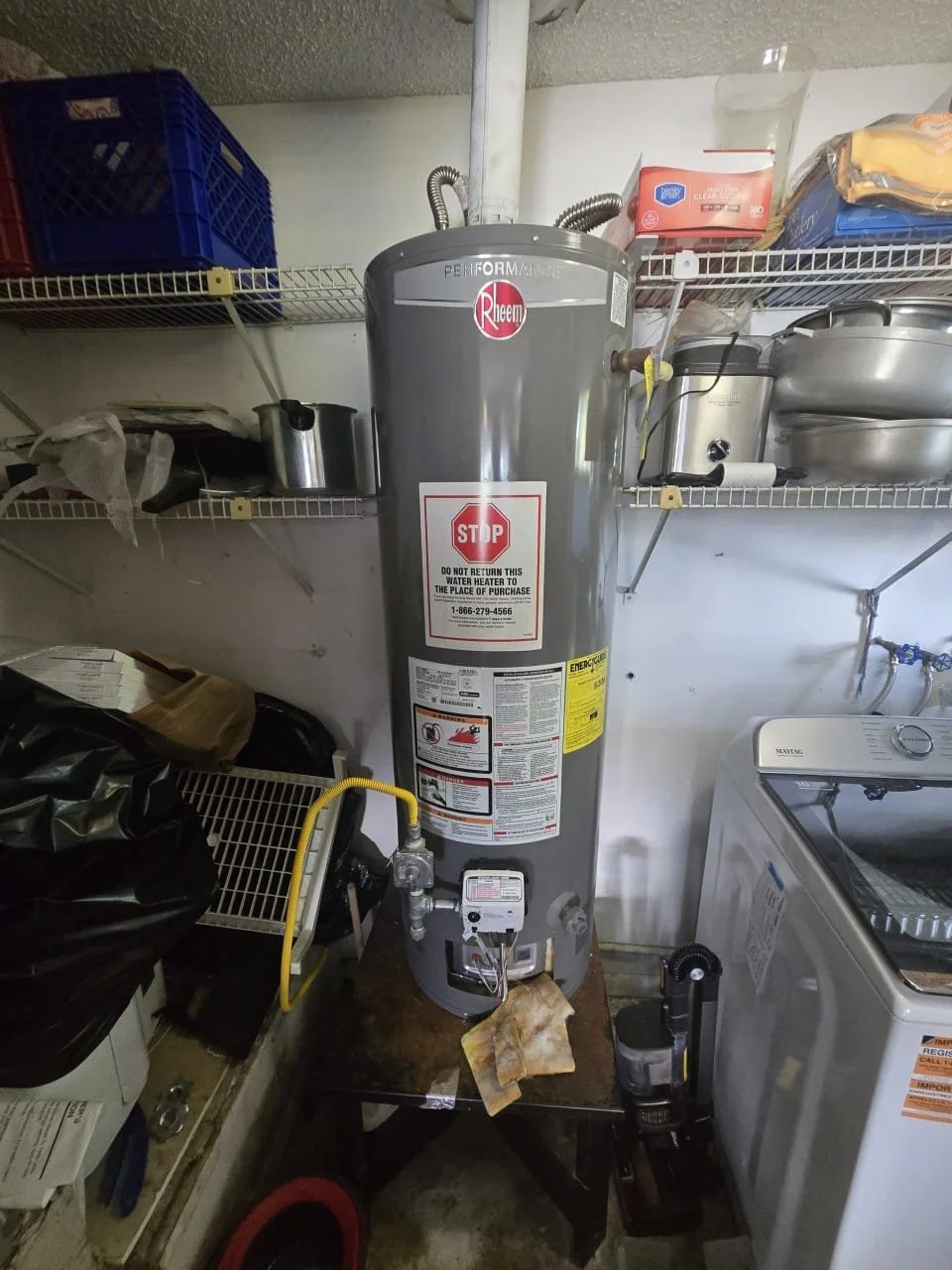 WhatsApp Image 2026-02-04 at 10.21.41 PM.jpeg